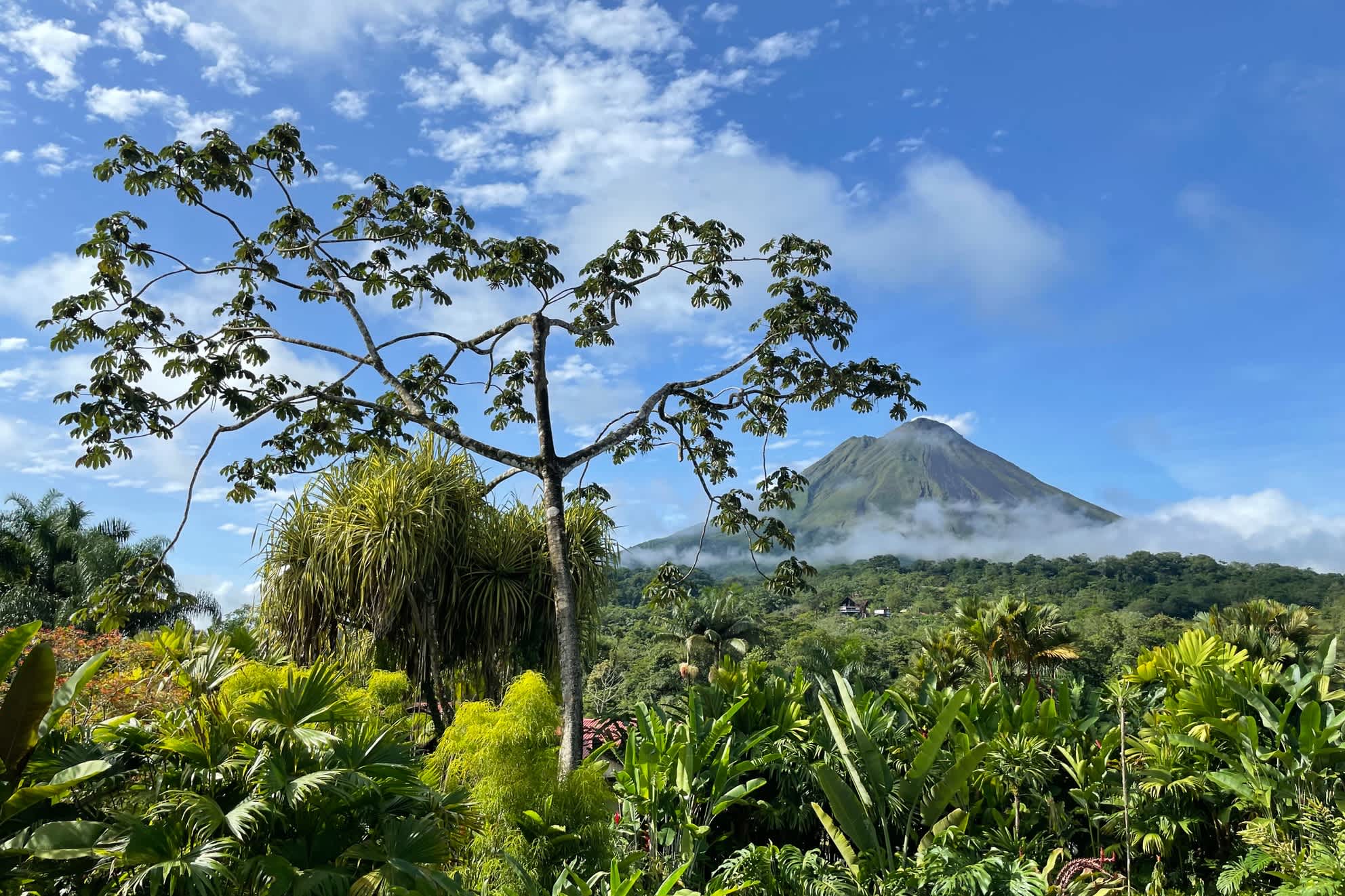 Volcan Arenal et végétation luxuriante au Costa Rica.