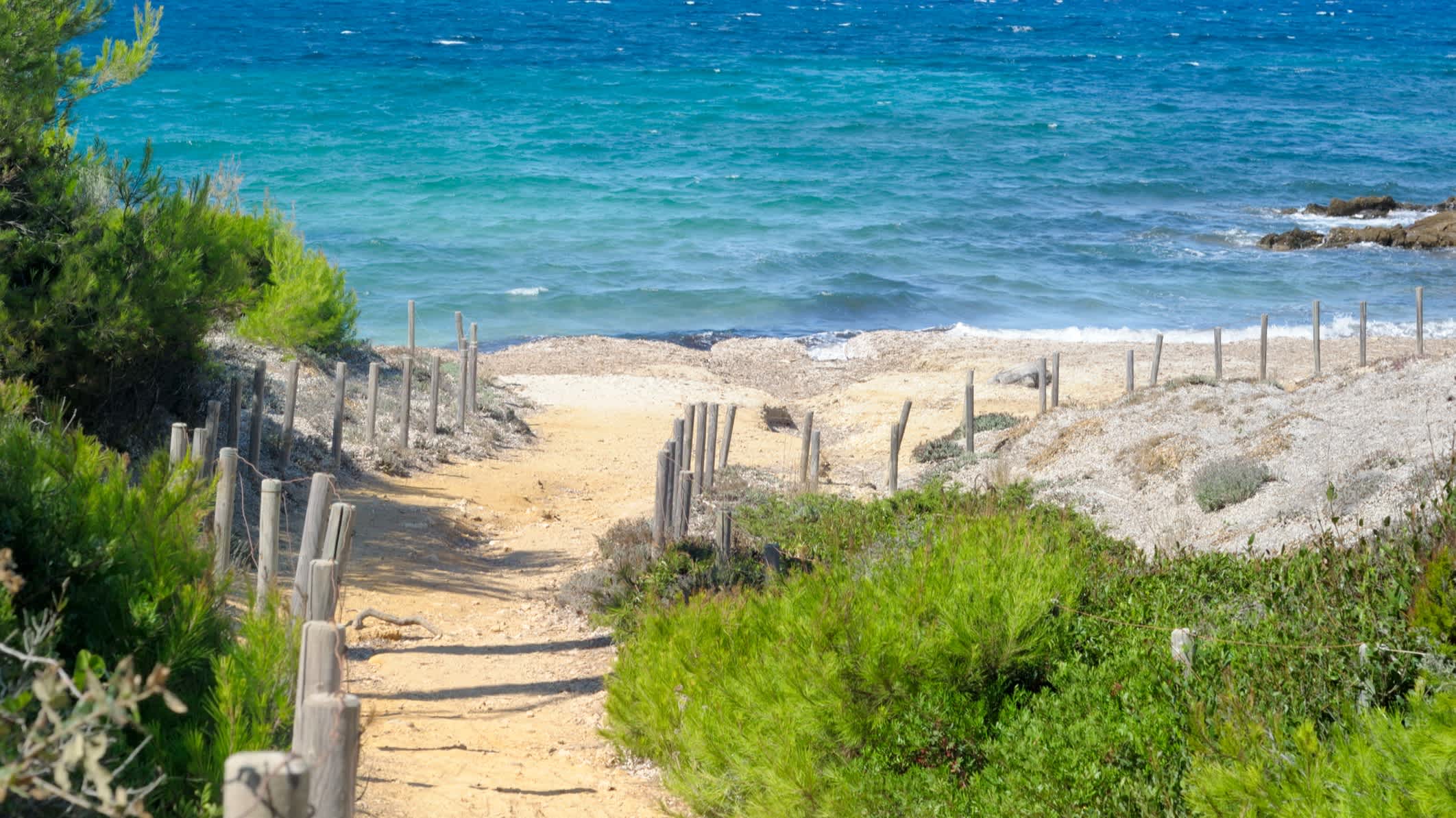 Sentier de sable bordé de végétation menant sur la petite plage sur l'île de Porquerolles, Côte d'Azur, France


