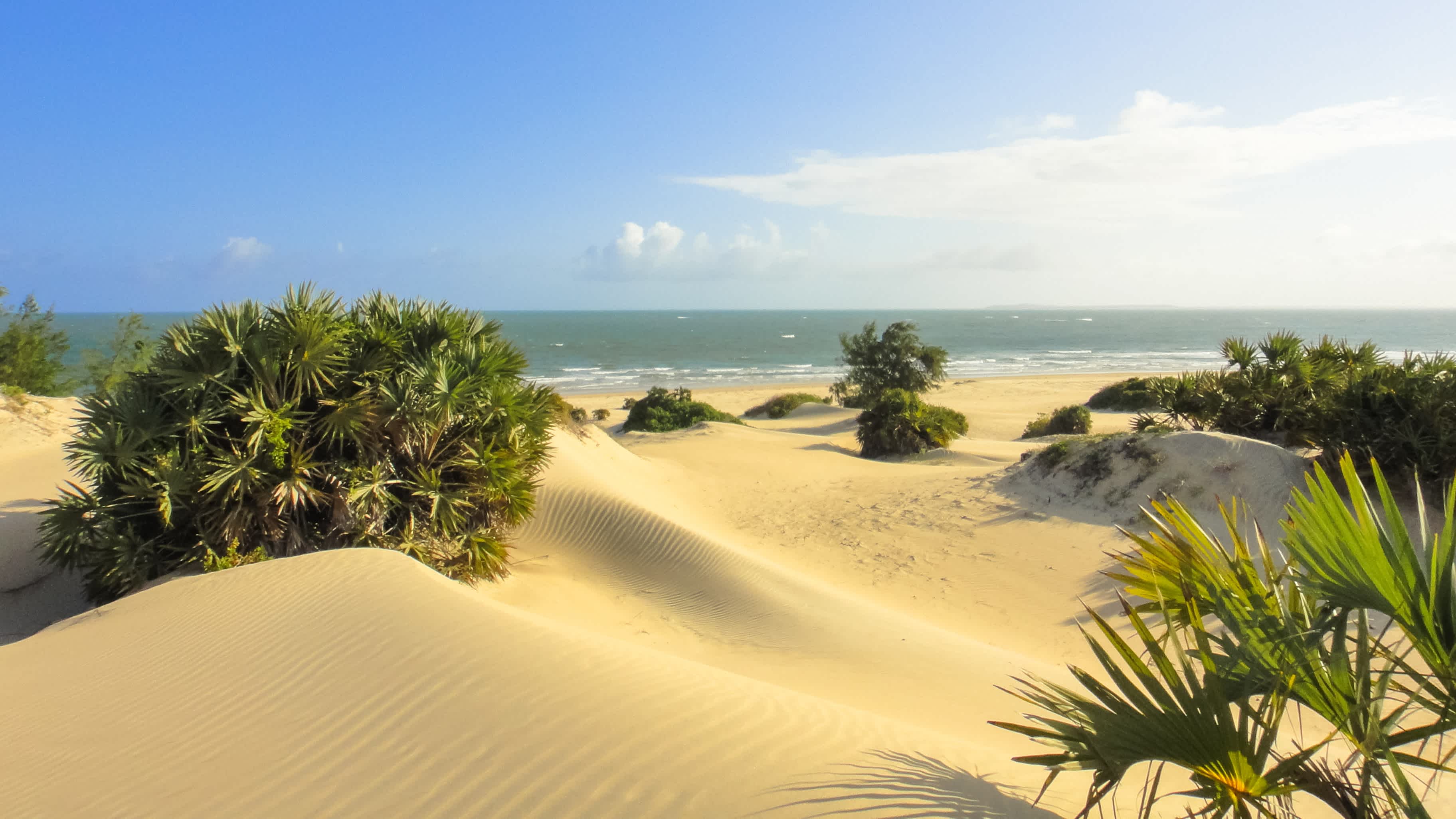 Shela-Strand auf der Insel Lamu in Kenia