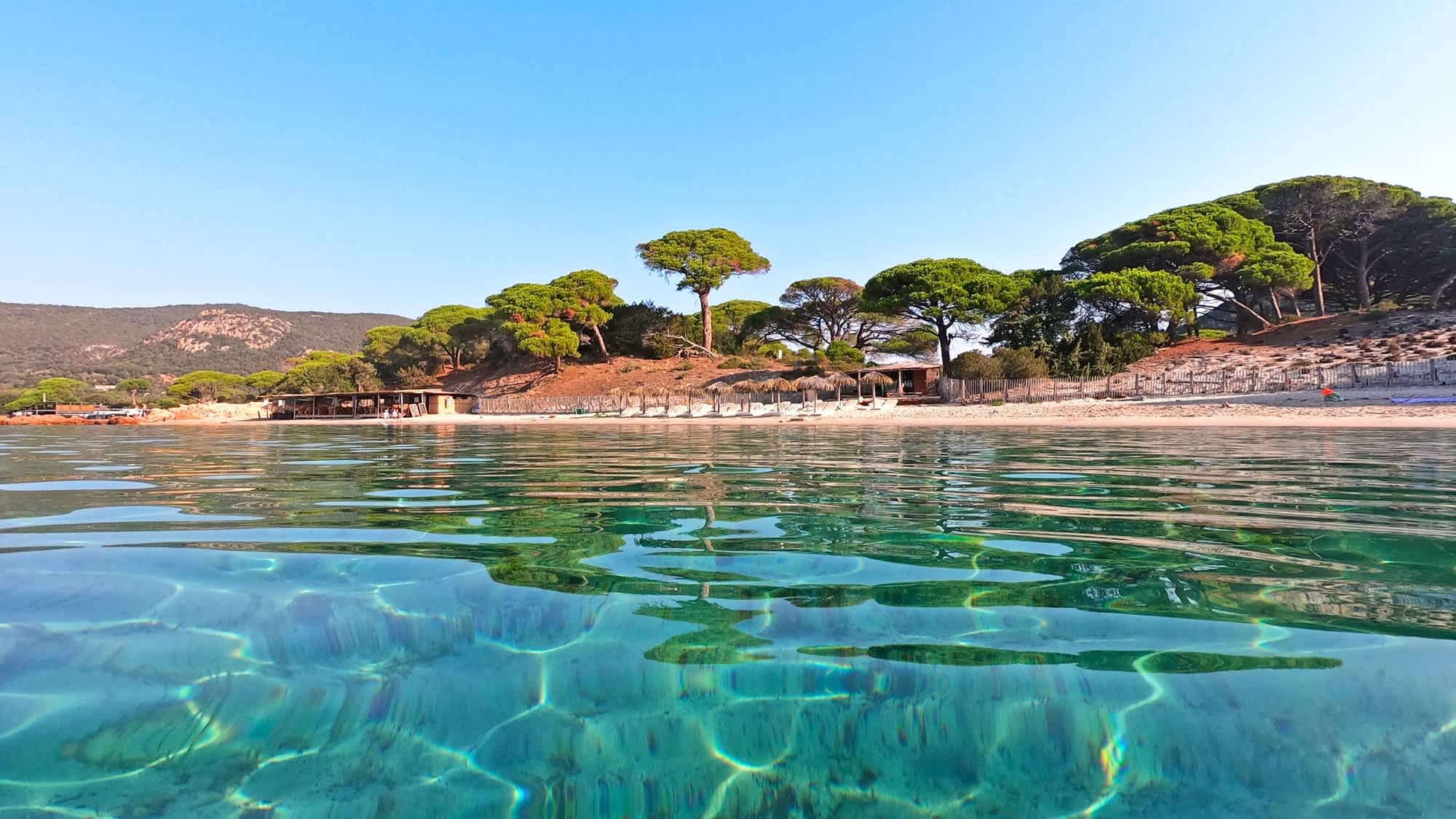 Vue depuis l'eau cristalline sur la plage de sable bordée de végétation à Palombaggia, Corse, France