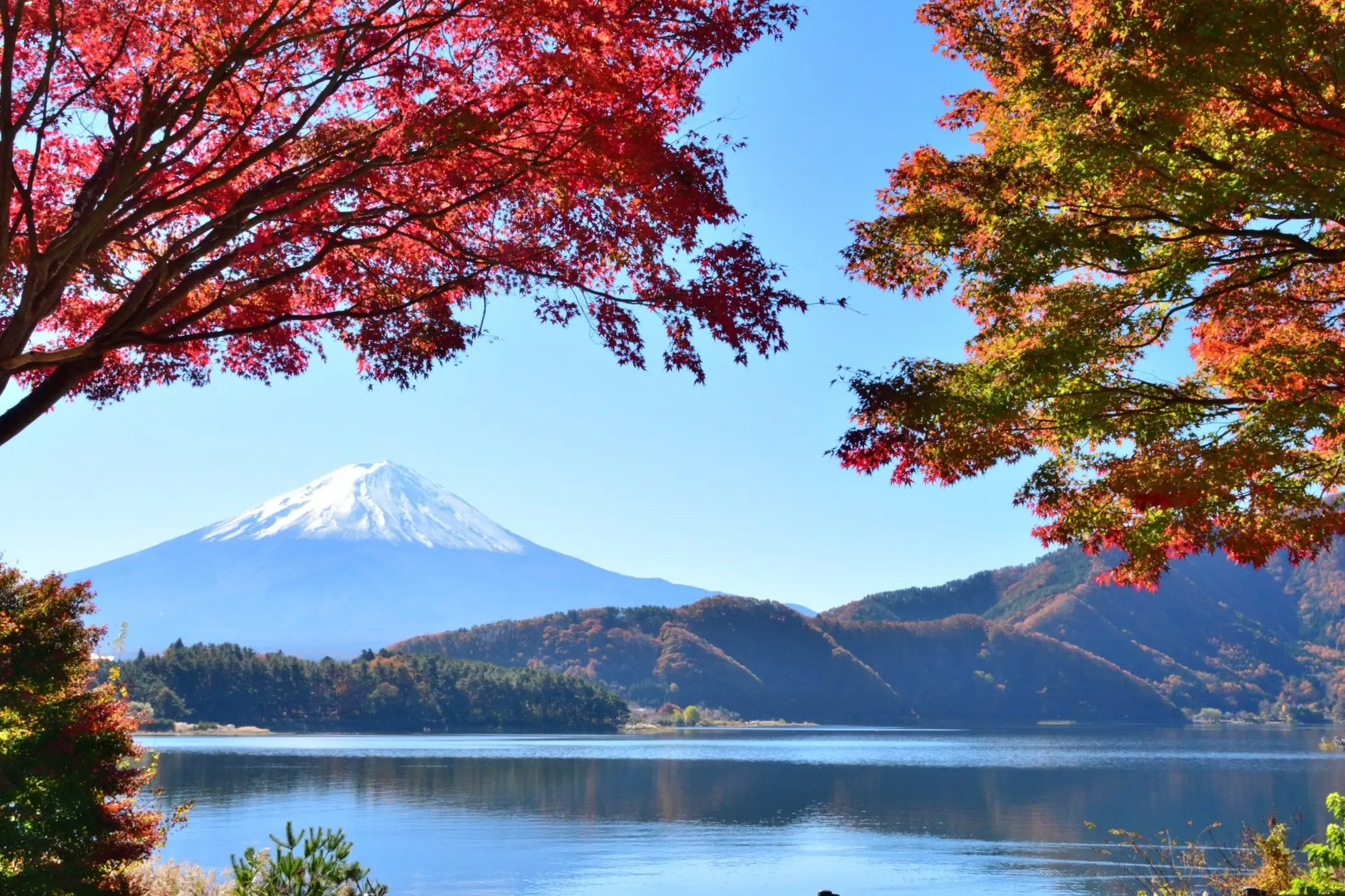 Japan, Fuji-Hakone-Izu-Nationalpark Fuji Fünf Seen Region, Japan