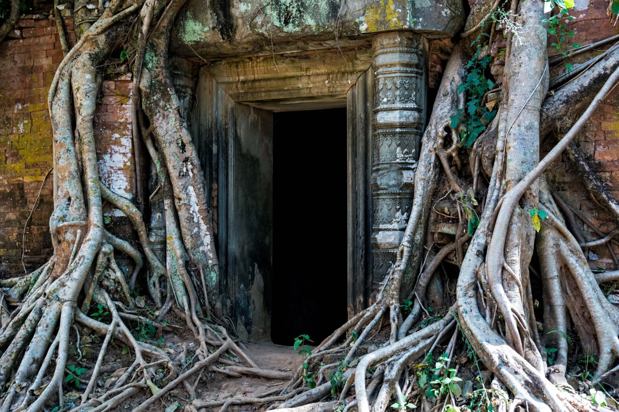 Temple ancien recouvert de mousse au Cambodge.
