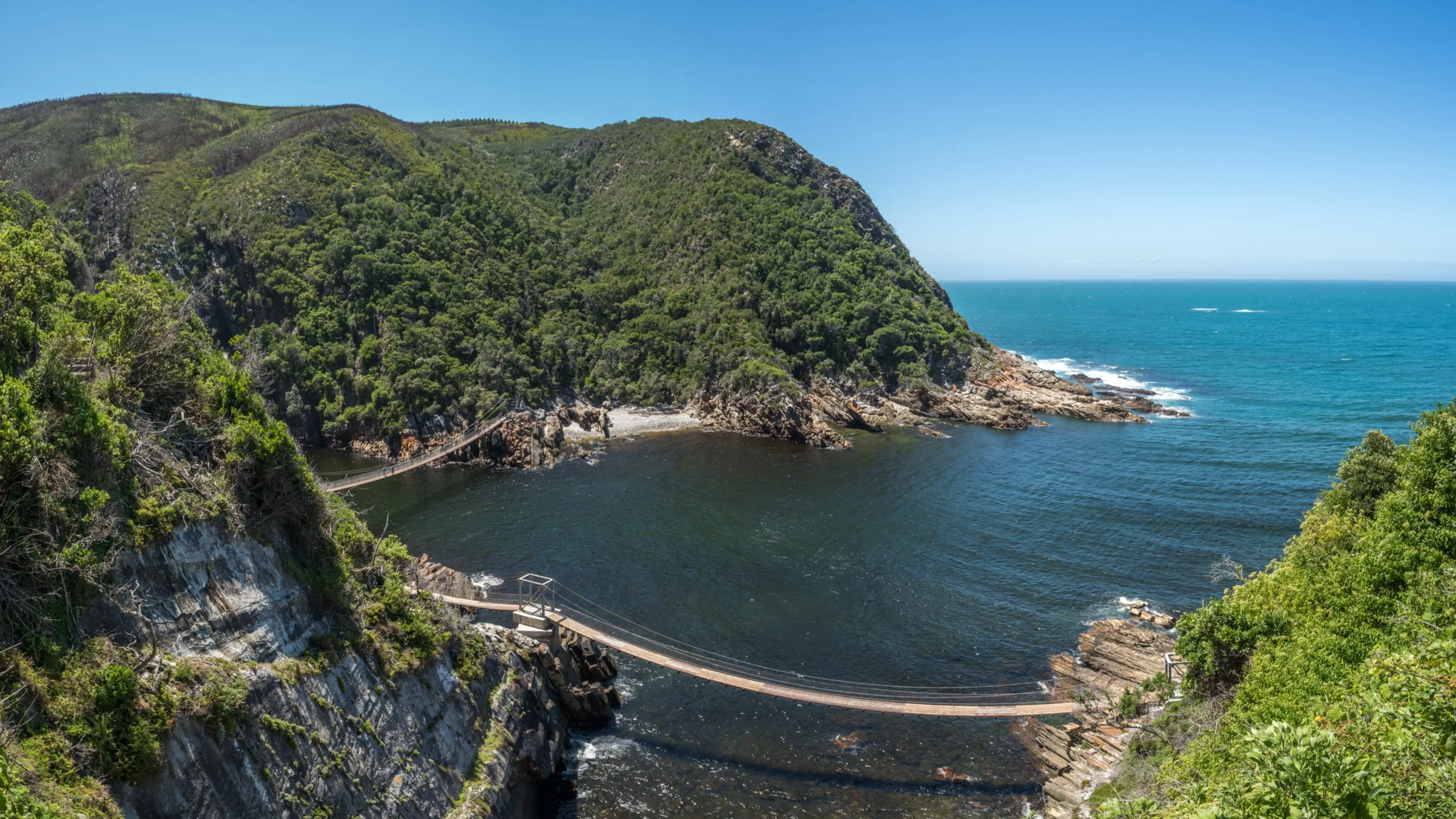 Vue sur le pont suspendu du parc national de Tistikamma en Afrique du Sud