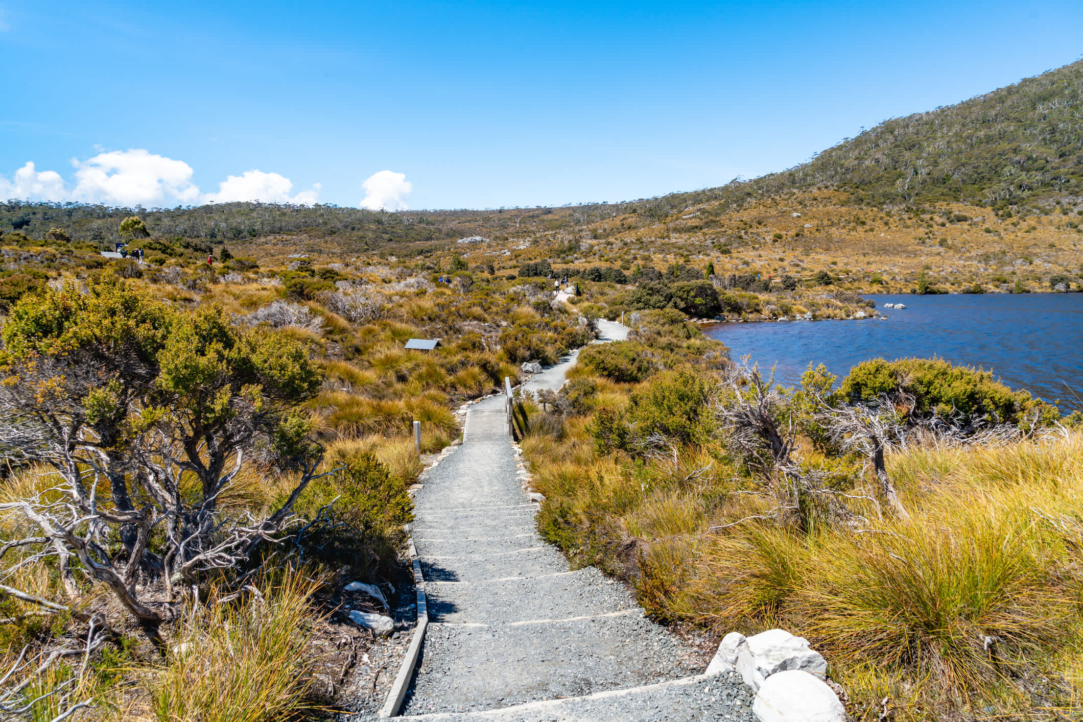 Landschaft und See am Cradle Mountain mit Wanderweg