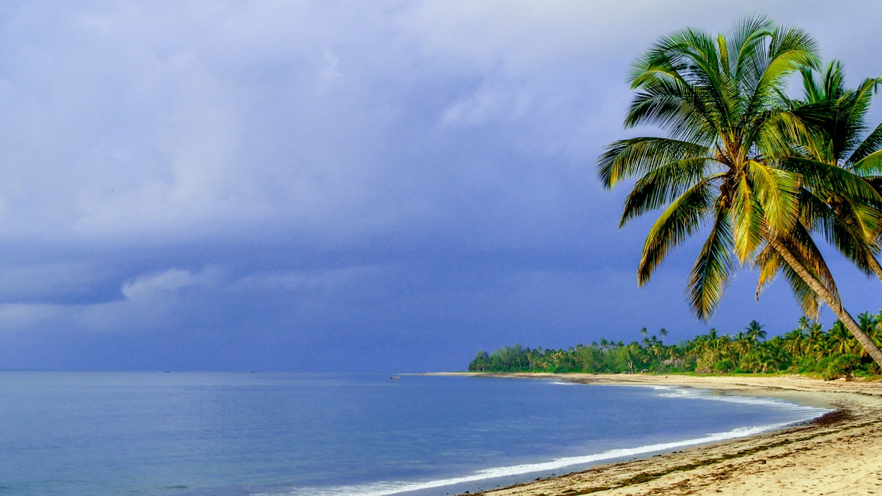 Menschenleerer Strand in Pangani Tansania bei bewölktem Himmel mit Blick auf das tiefblaue offene Meer und eine Palme, die ins Bild ragt. 
