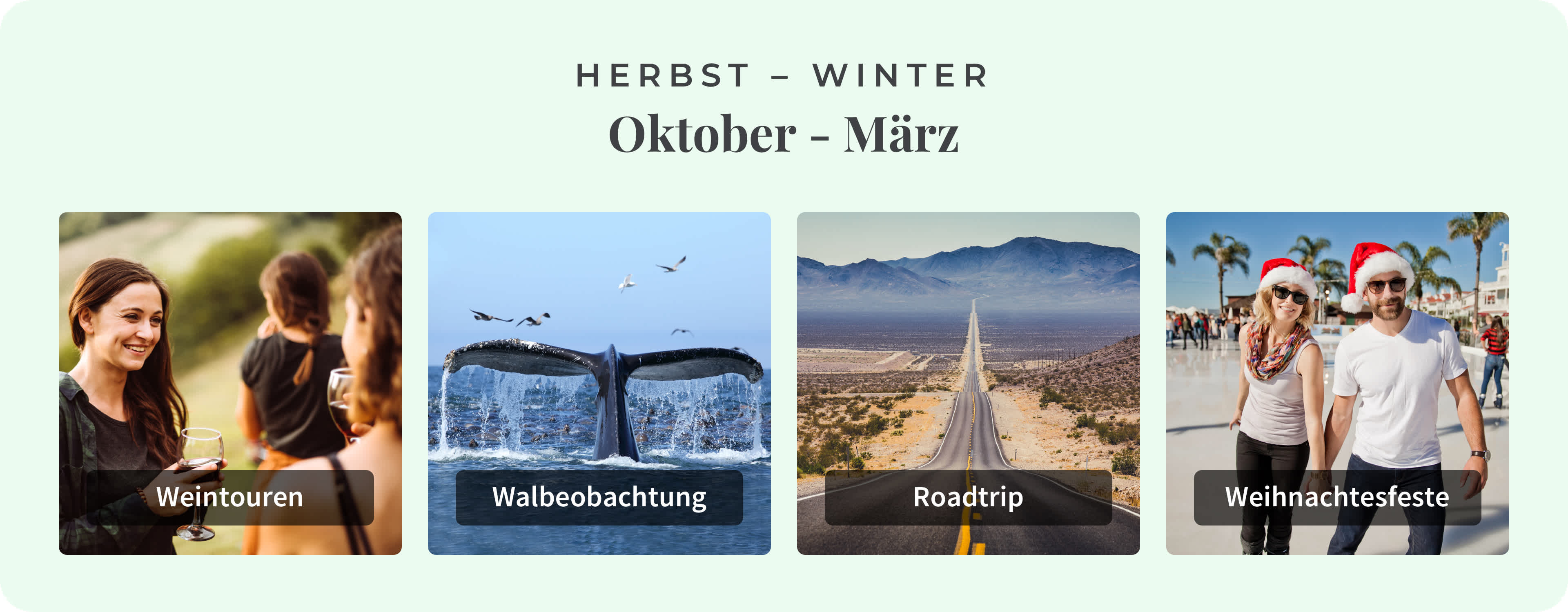 Die besten lokalen Aktivitäten in Kalifornien während der Herbst-Wintersaison.