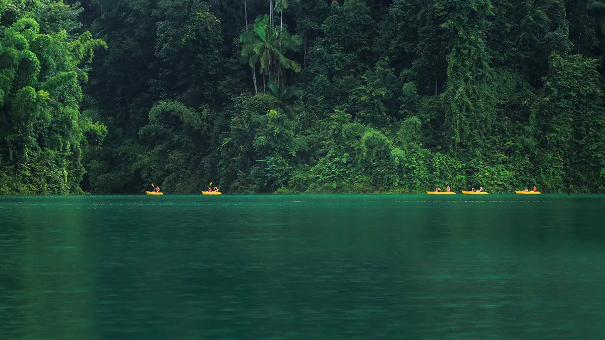 Paddeln durch Khao Sok Nationalpark Paddeln durch Khao Sok Nationalpark, Elephant Hills Rainforest Camp Cheow Larn