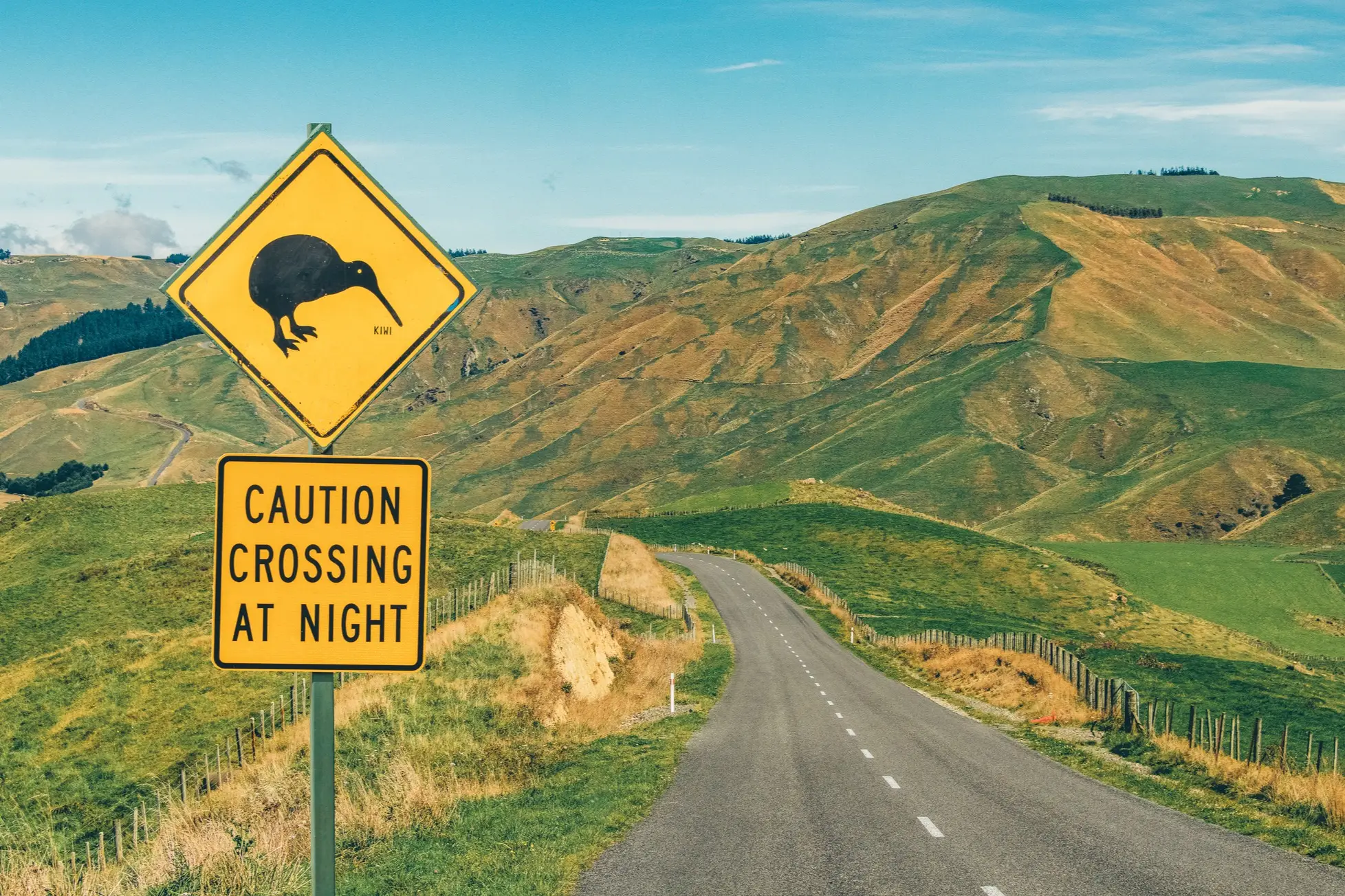Neuseeland, Kiwi-Vogel-Warnschild Kiwi-Vogel-Warnschild neben der Straße in Neuseeland.