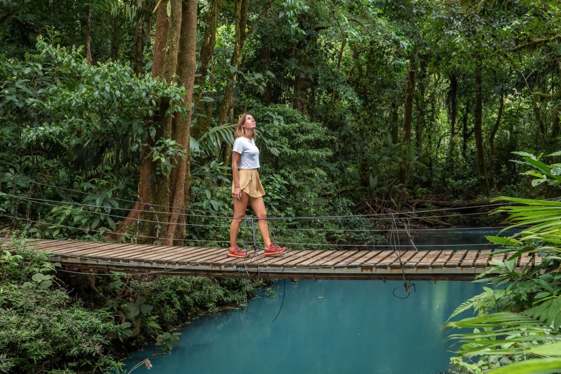 Auch wenn grundsätzlich für Costa Rica die Trockenzeit als bessere Reisezeit gilt, ist eine Regenwaldtour zur Regenzeit besonders eindrucksvoll.
