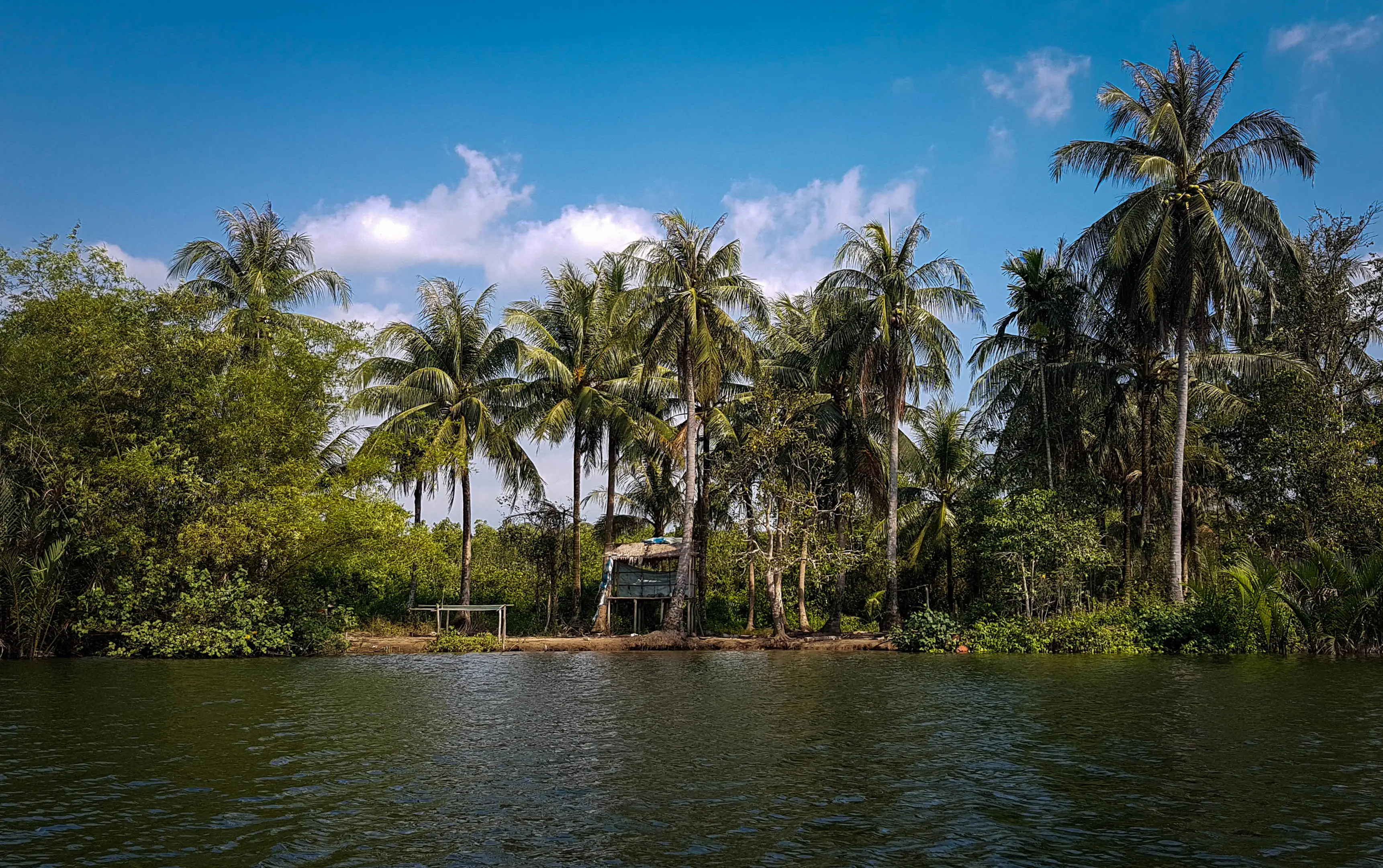 Rivière Cardamome, palmiers, Cambodge Rivière traversant la jungle près du village de Chi Phat, dans les montagnes de Cardamome, au Cambodge
