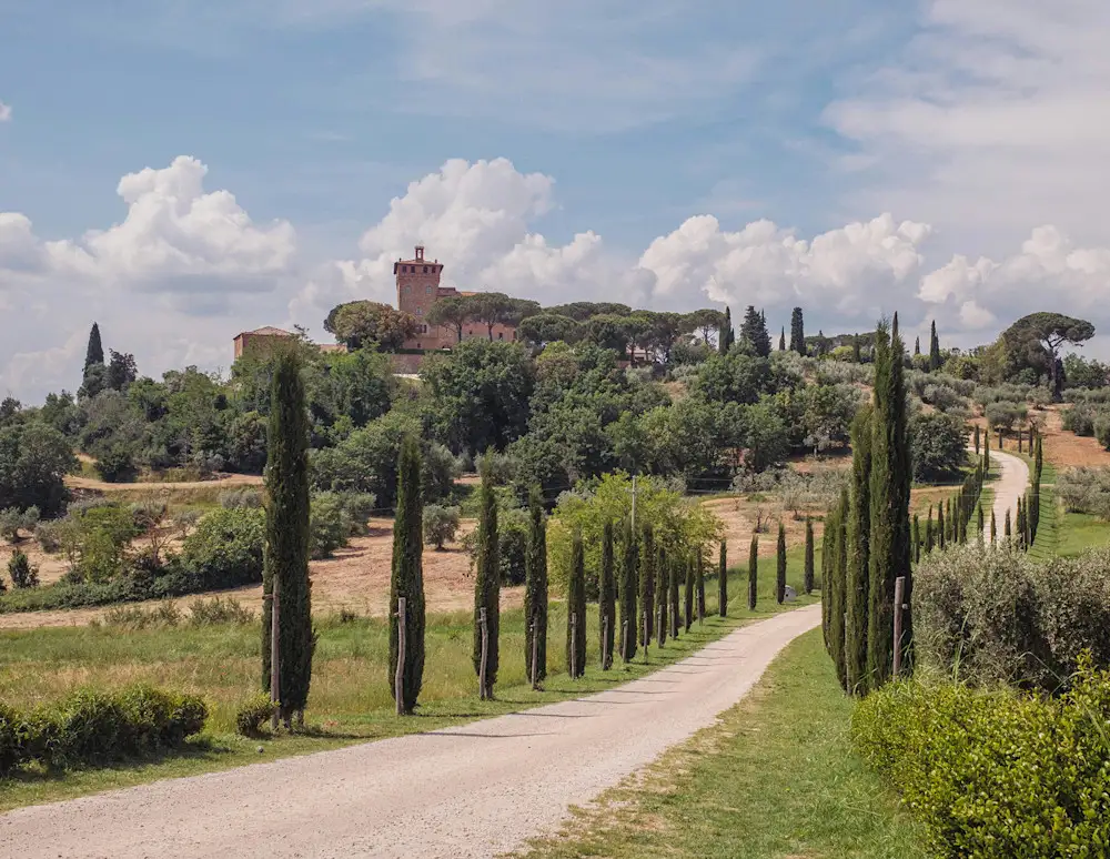 Sunset over the winding road with cypress trees in Tuscany