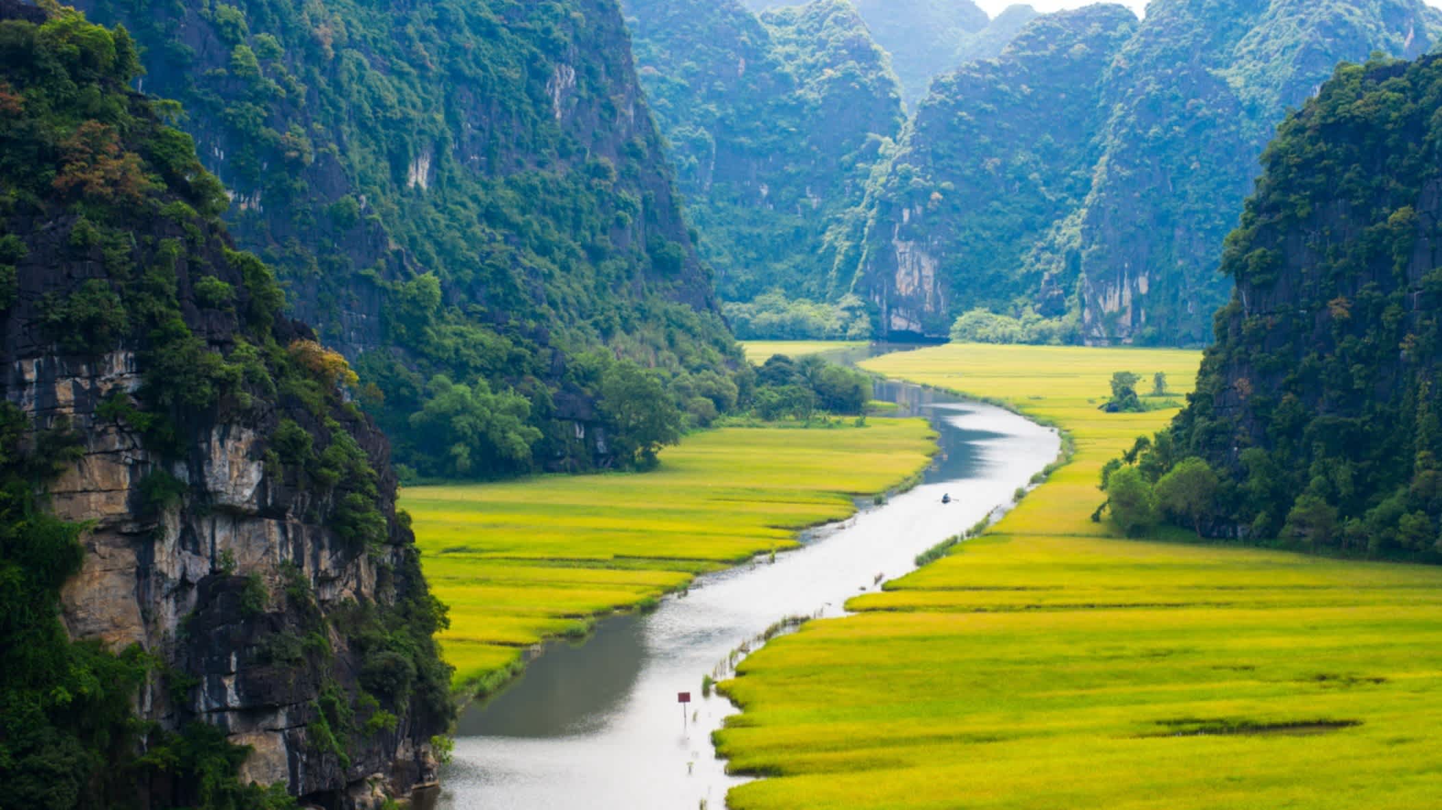 Reisfeld und Fluss in Ninh Binh, Vietnam