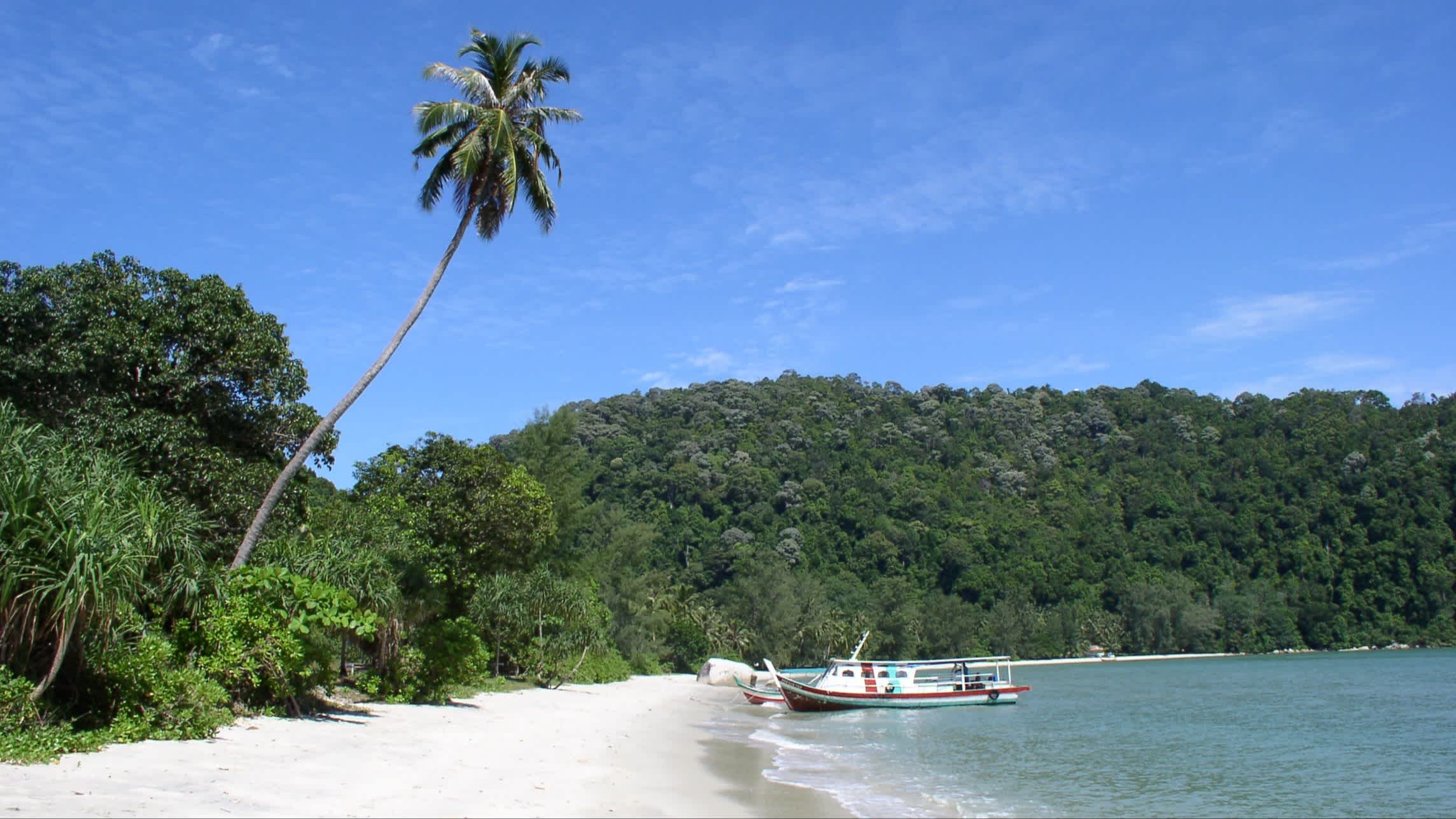 Bateau sur l'eau au bord du sable blanc de la plage bordé de palmiers, à Monkey Beach, en Malaisie.