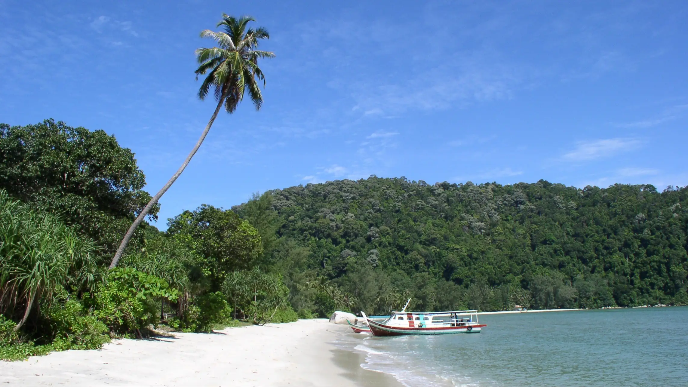 Plage de Teluk Duyung, Penang, Malaisie Bateau sur l'eau au bord du sable blanc de la plage bordé de palmiers, à Monkey Beach, en Malaisie.