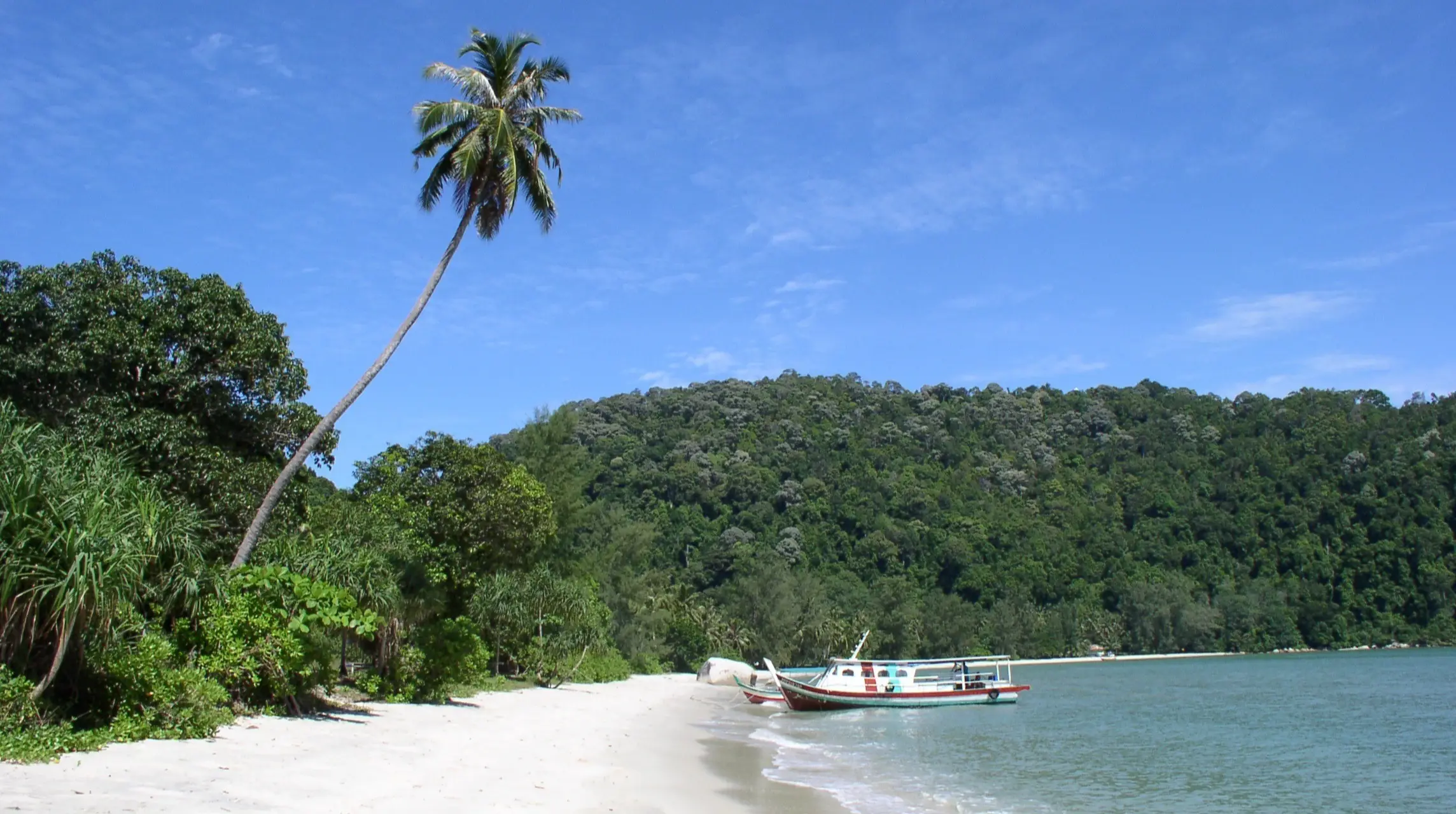 Plage de Teluk Duyung, Penang, Malaisie Bateau sur l'eau au bord du sable blanc de la plage bordé de palmiers à Monkey Beach, en Malaisie.