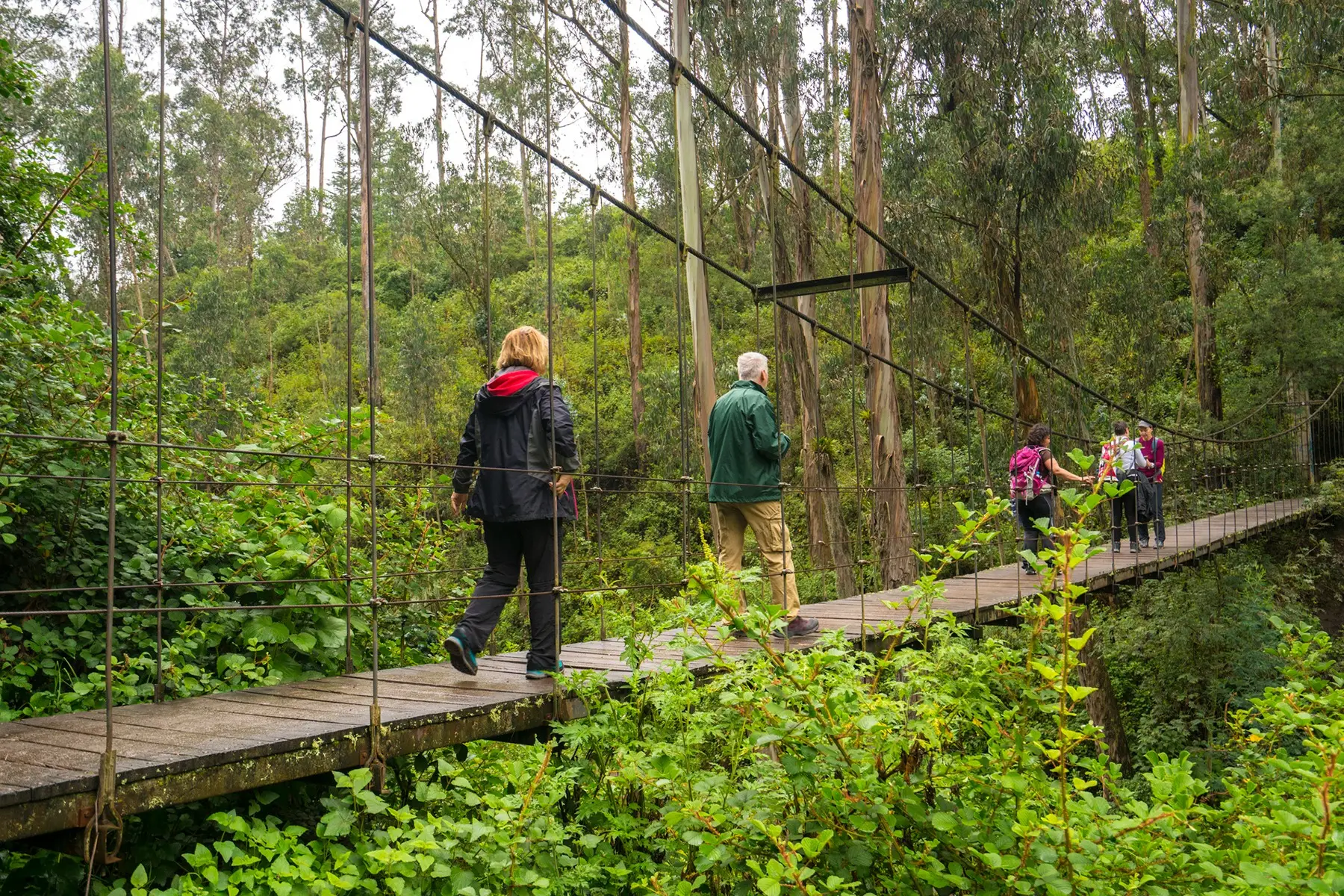 Equateur Otavalo Groupe de voyageurs Un groupe de voyageurs traversant sur un pont suspendu près d'Otavalo, Équateur.