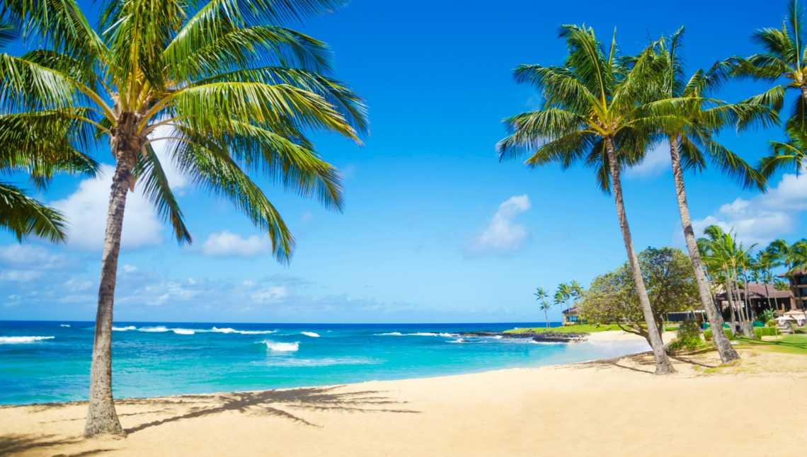 Palmiers sur le sable doré de la plage de Poipu, Kauai à Hawaï