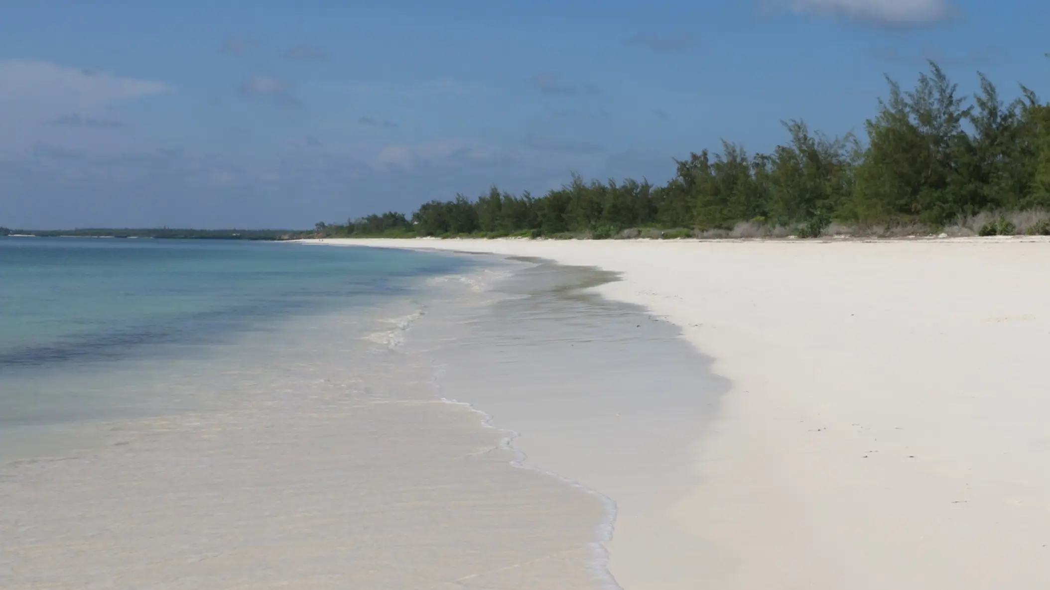 Kenia Watamu Beach Nahblick auf den weißen Sandstrand Watamu Beach in Kenia, bei makellosem Sonnenschein und mit natürlicher Vegetation am Rand.