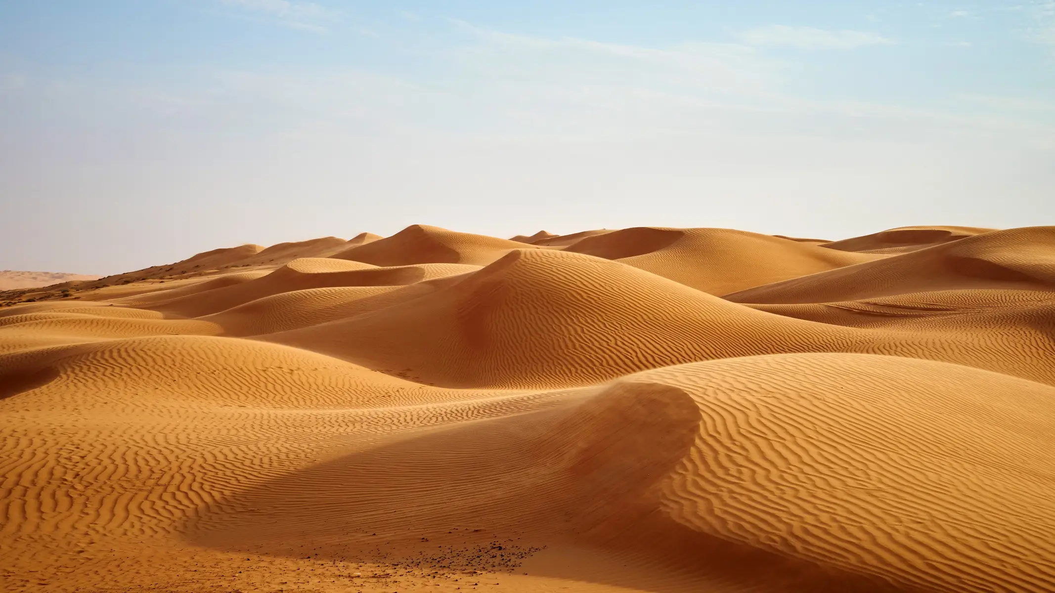 Les dunes du désert du Rub al-Khali à Oman.

