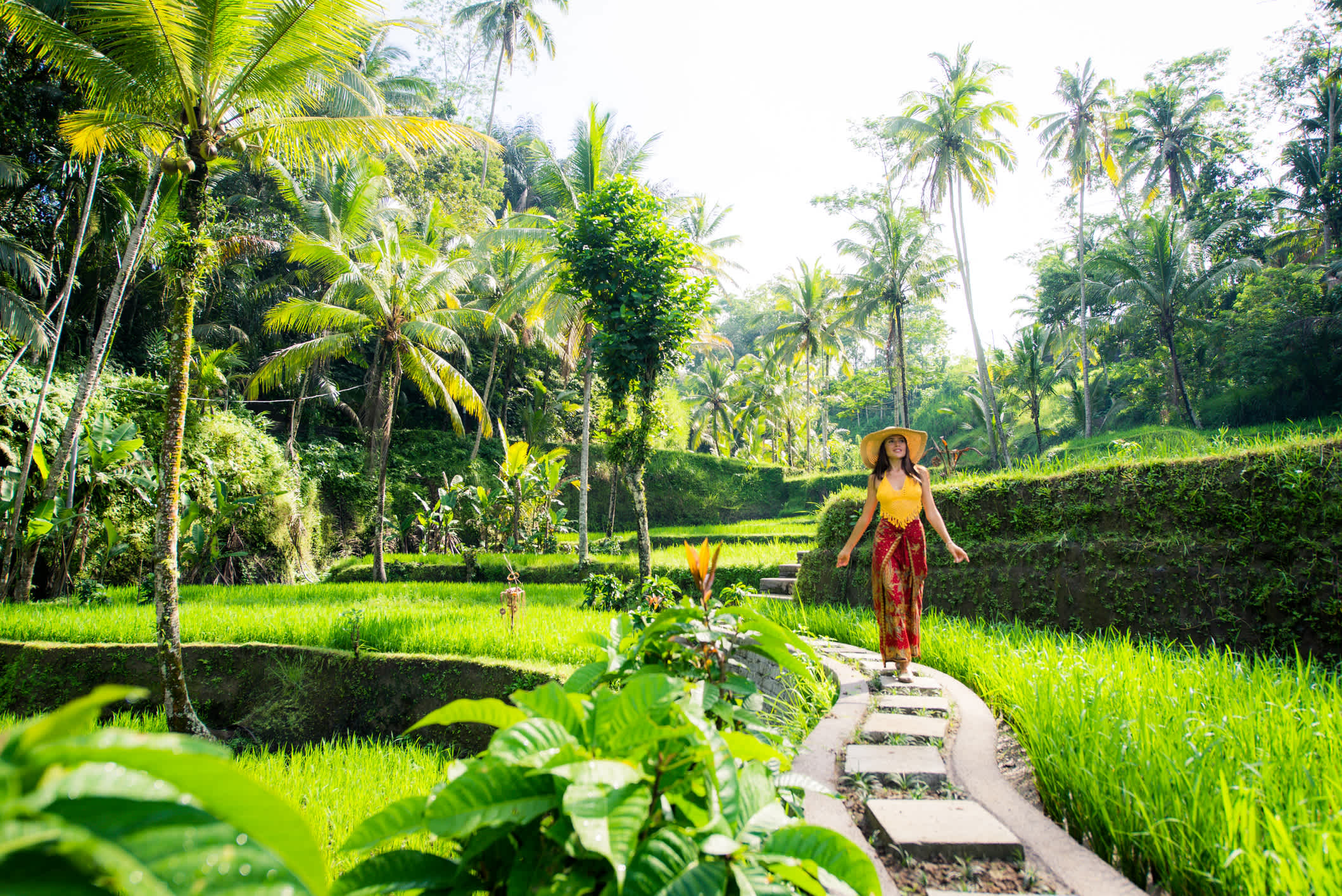 Femme dans les rizières vertes à Ubud, Bali, Indonésie
