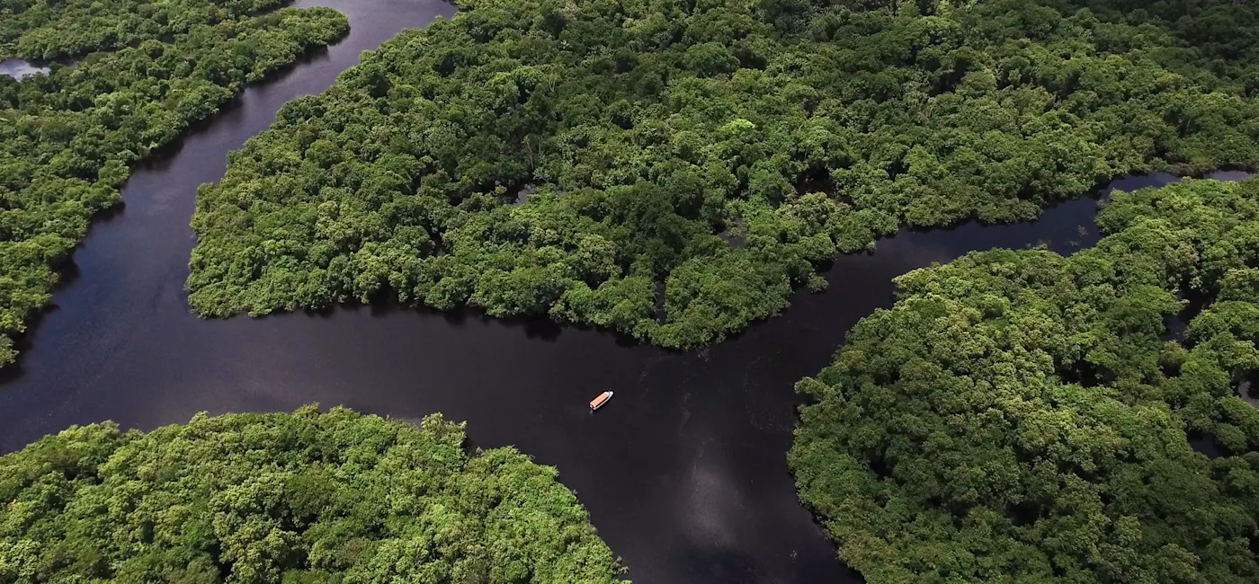 Luftaufnahme des Amazonas Regenwald in Brasilien, Südamerika

