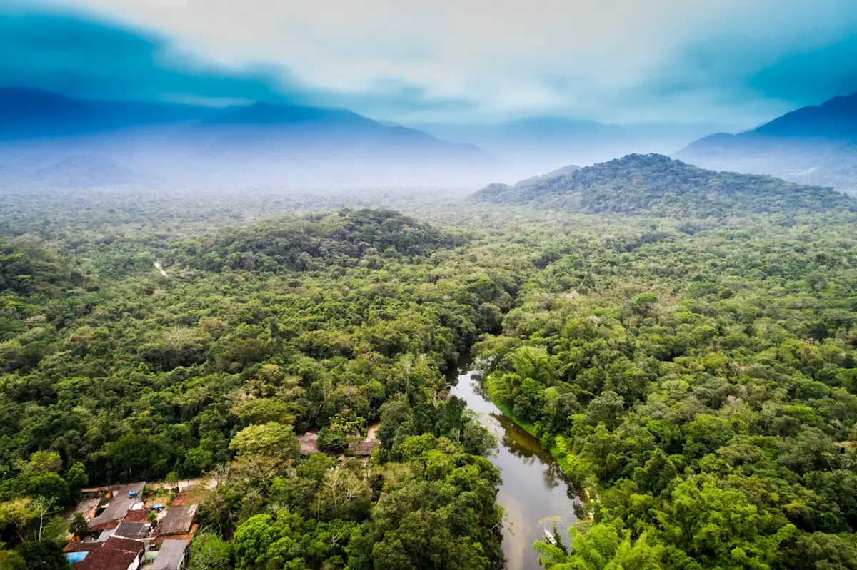 Amazonas-Tour in Kolumbien: Tipps & Reiseangebote | Tourlane