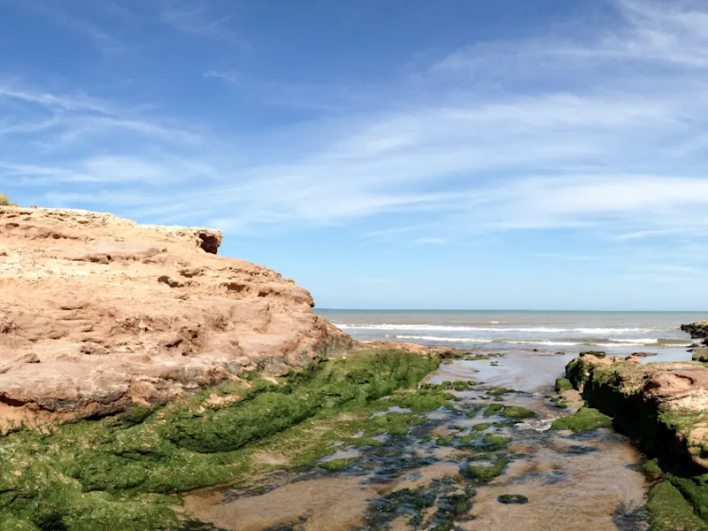 Argentiniens Strände Das klare Wasser und die unberührte Natur machen Argentiniens Strände zu einem wahren Paradies für Strandliebhaber