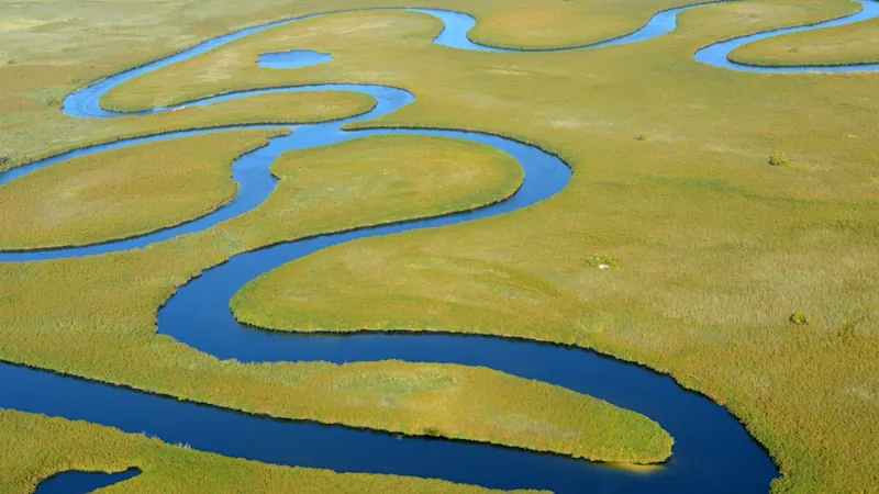 Vogelsicht über das Okavango-Delta in Botswana