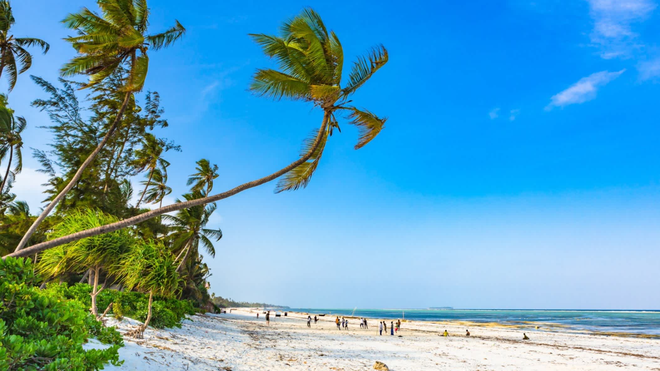 Der Strand von Matemwe auf der Insel Sansibar in Tansania, Afrika bei strahlend blauem Himmel und wedelnden Palmen. 
