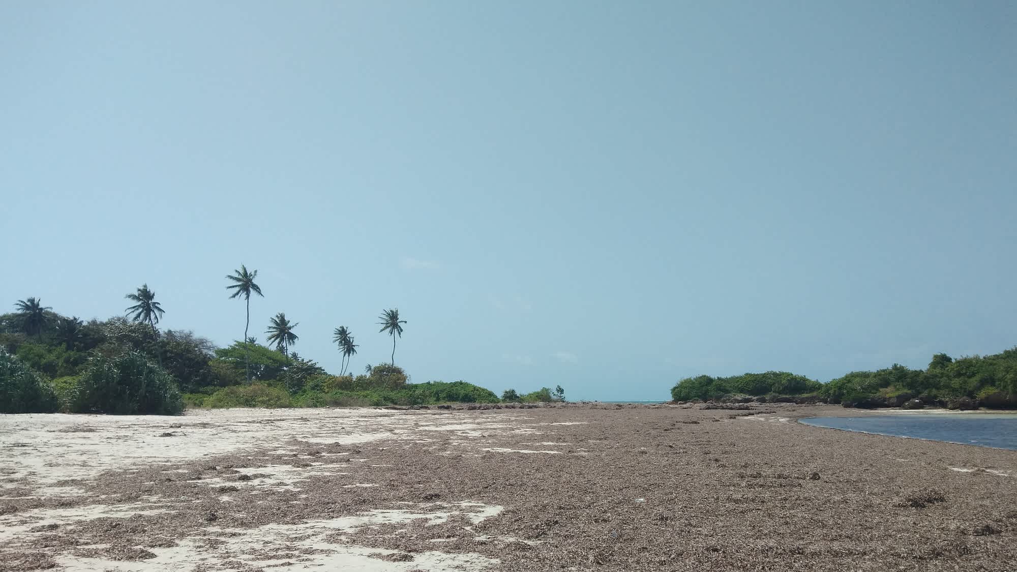 La plage de Msambweni au Kenya