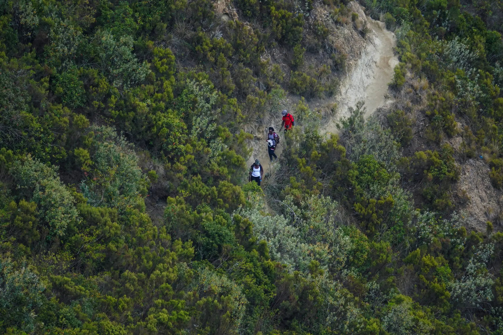 Wanderer, Mont Logonot, Kenia Luftaufnahme von Wanderern in der Nähe des Mount Logonot, Kenia