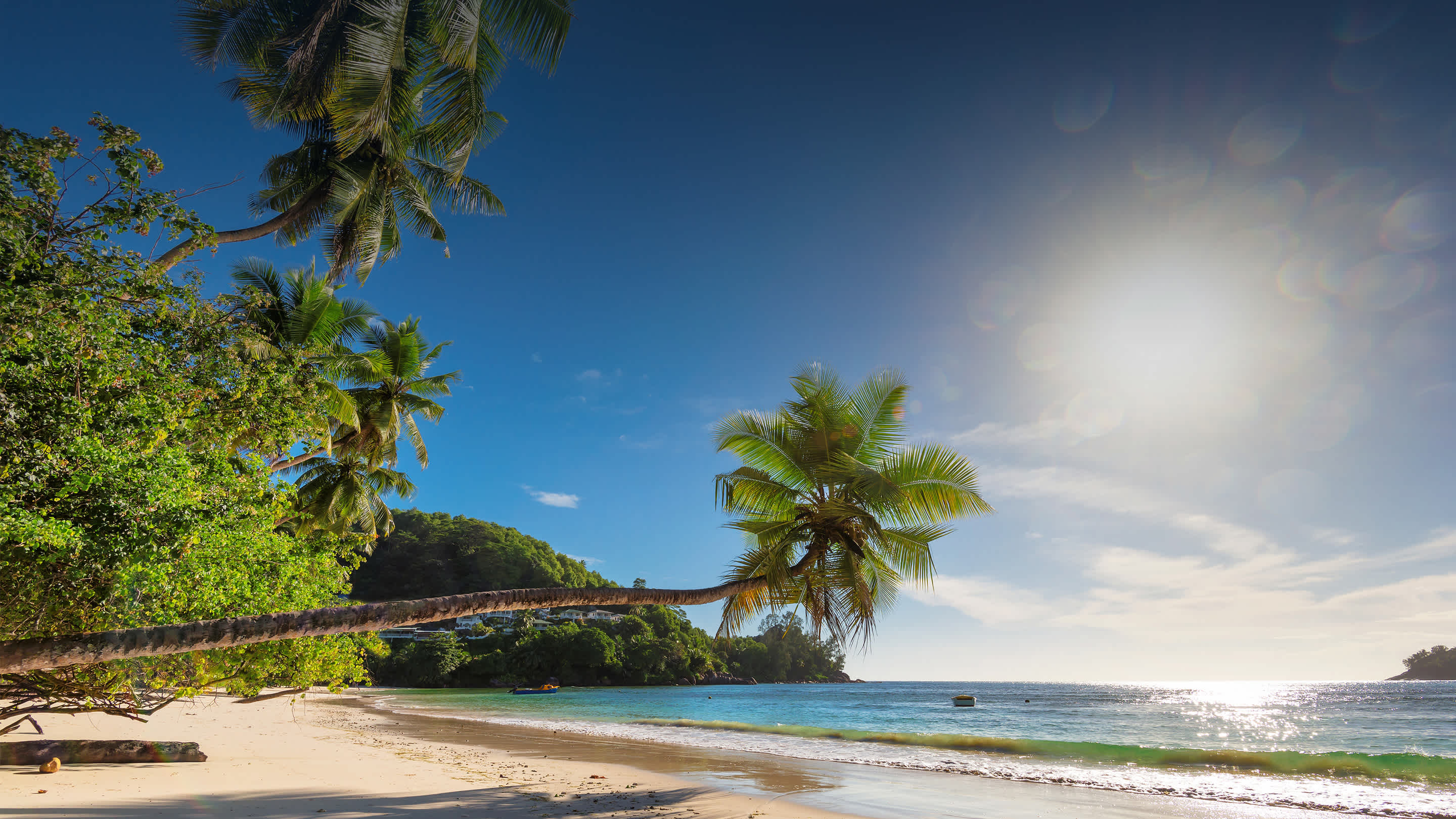 Header of the most instagrammed islands, featuring a palm tree and instagrammable beach