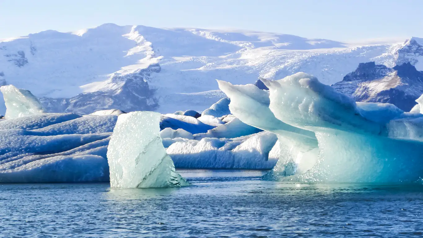 Höfn