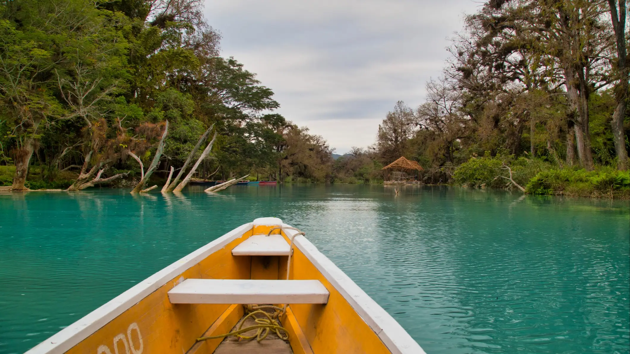 Bateau, Huasteca Potosina, Mexique Un bateau jaune navigue sur des eaux turquoise dans la région de la Huasteca Potosina