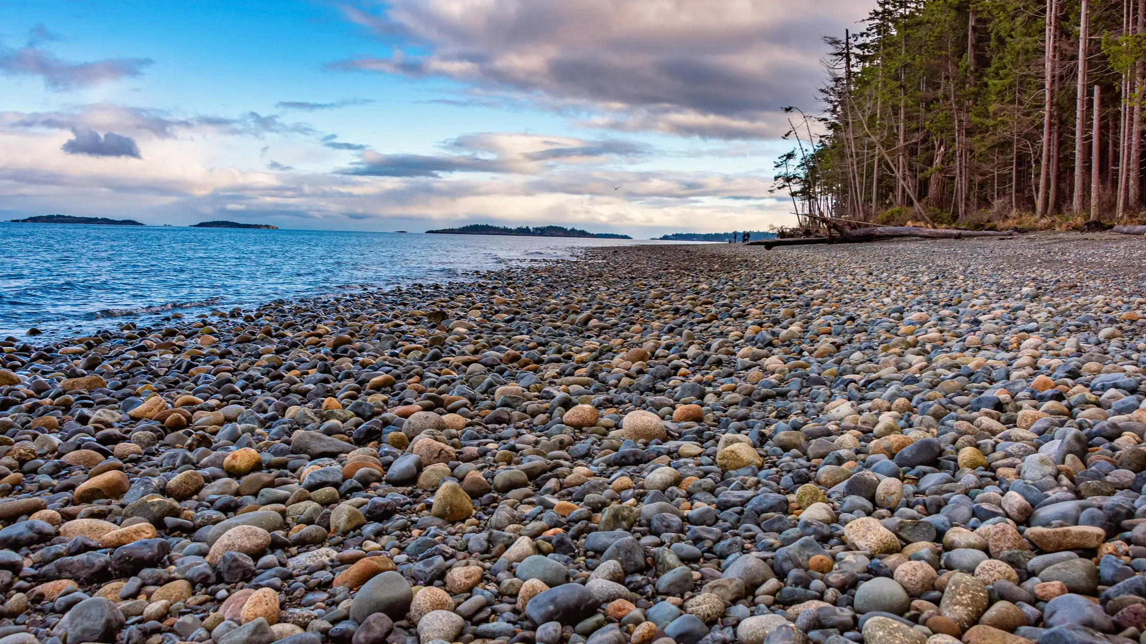 Plage de galets avec vue sur les îles et la côte boisée, Qualicum Beach, Vancouver Island, British Columbia, Canada.