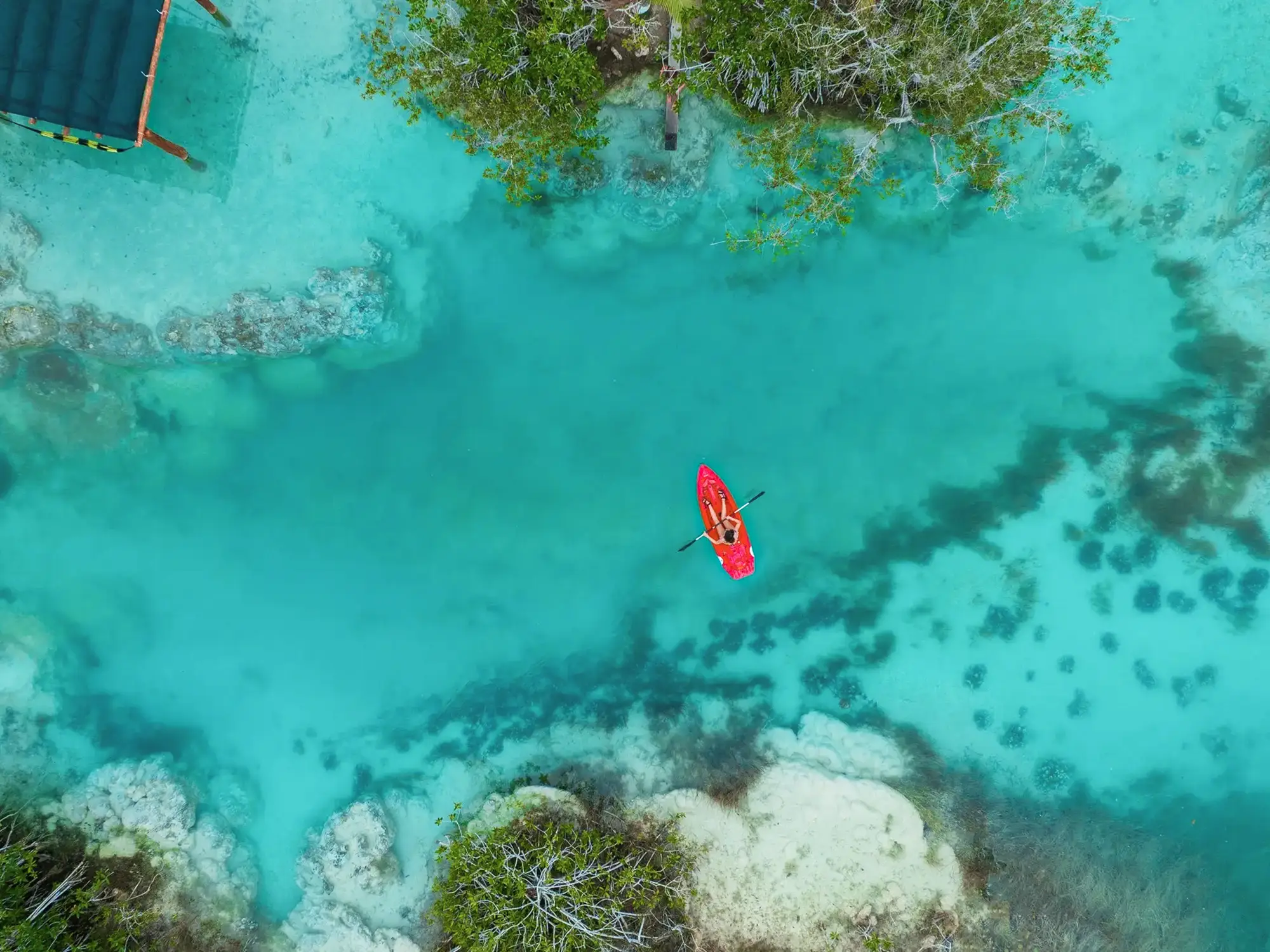 Mexique, Yucatán, Bacalar, Kayak Un kayakiste sur les eaux turquoises de Bacalar, Yucatán, Mexique.