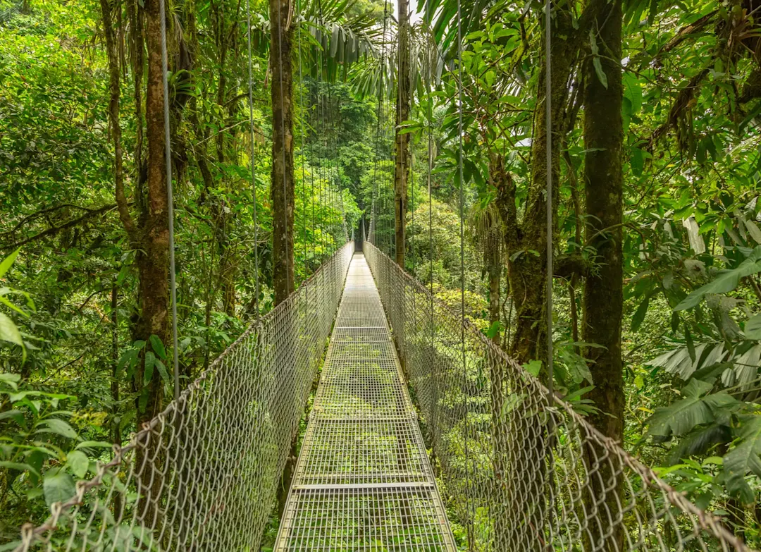 Costa Rica, Hängebrücke im Dschungel