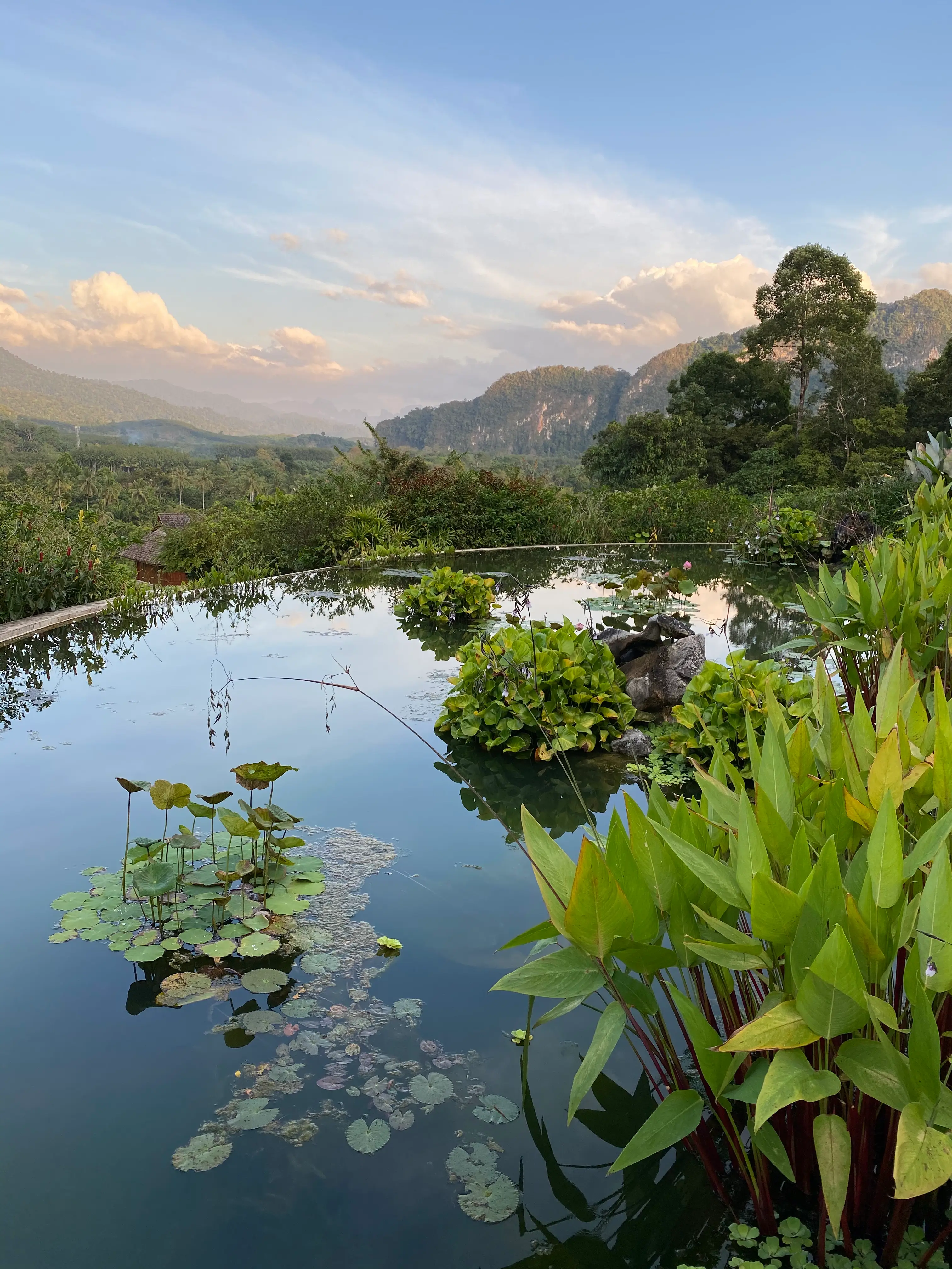 Sissi Hardenberg 2 Landschaftsbild von Sissis Tourlane nach Thailand.