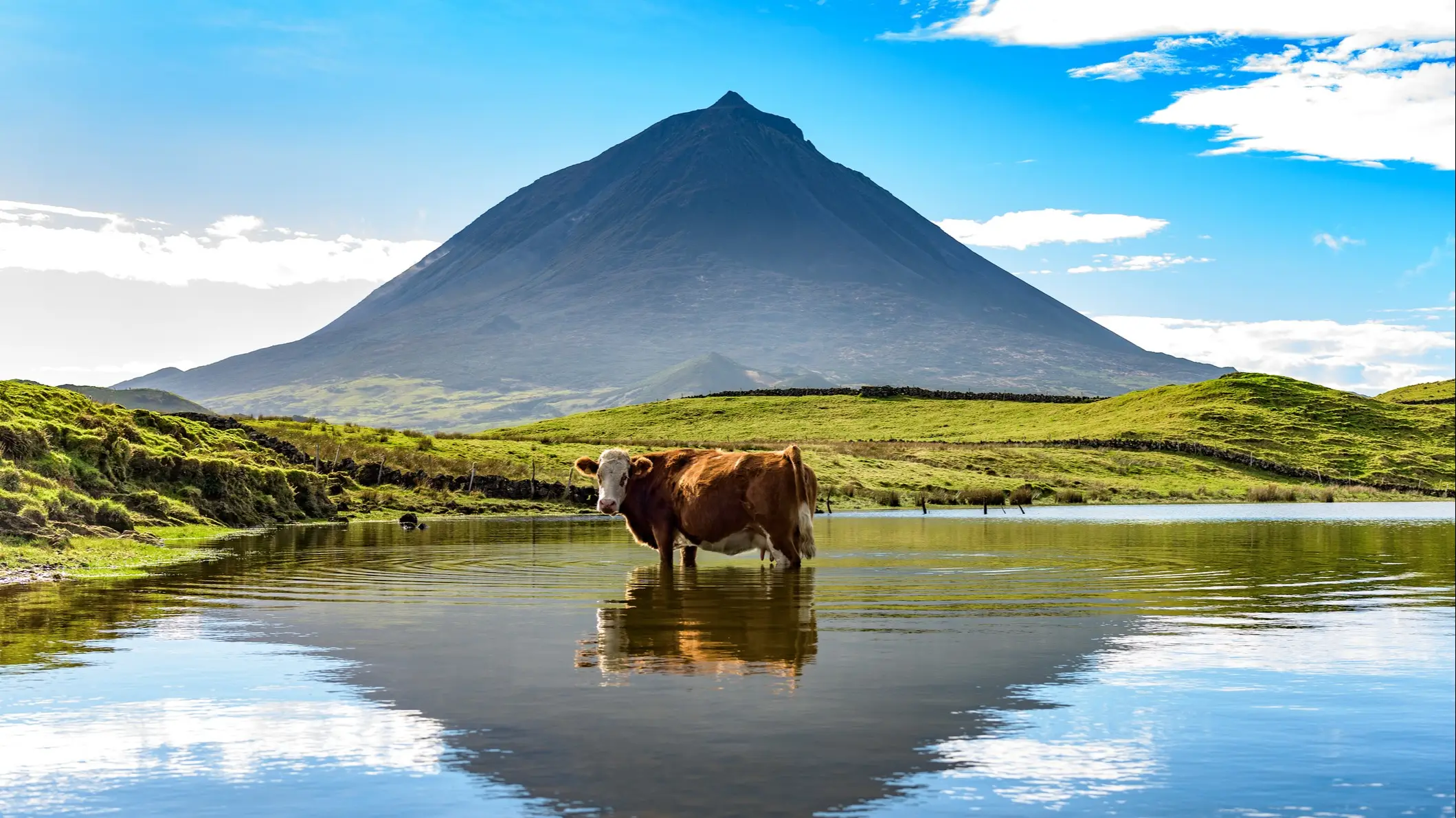 Azorian Vulkan Pico mit Nebel Sie über