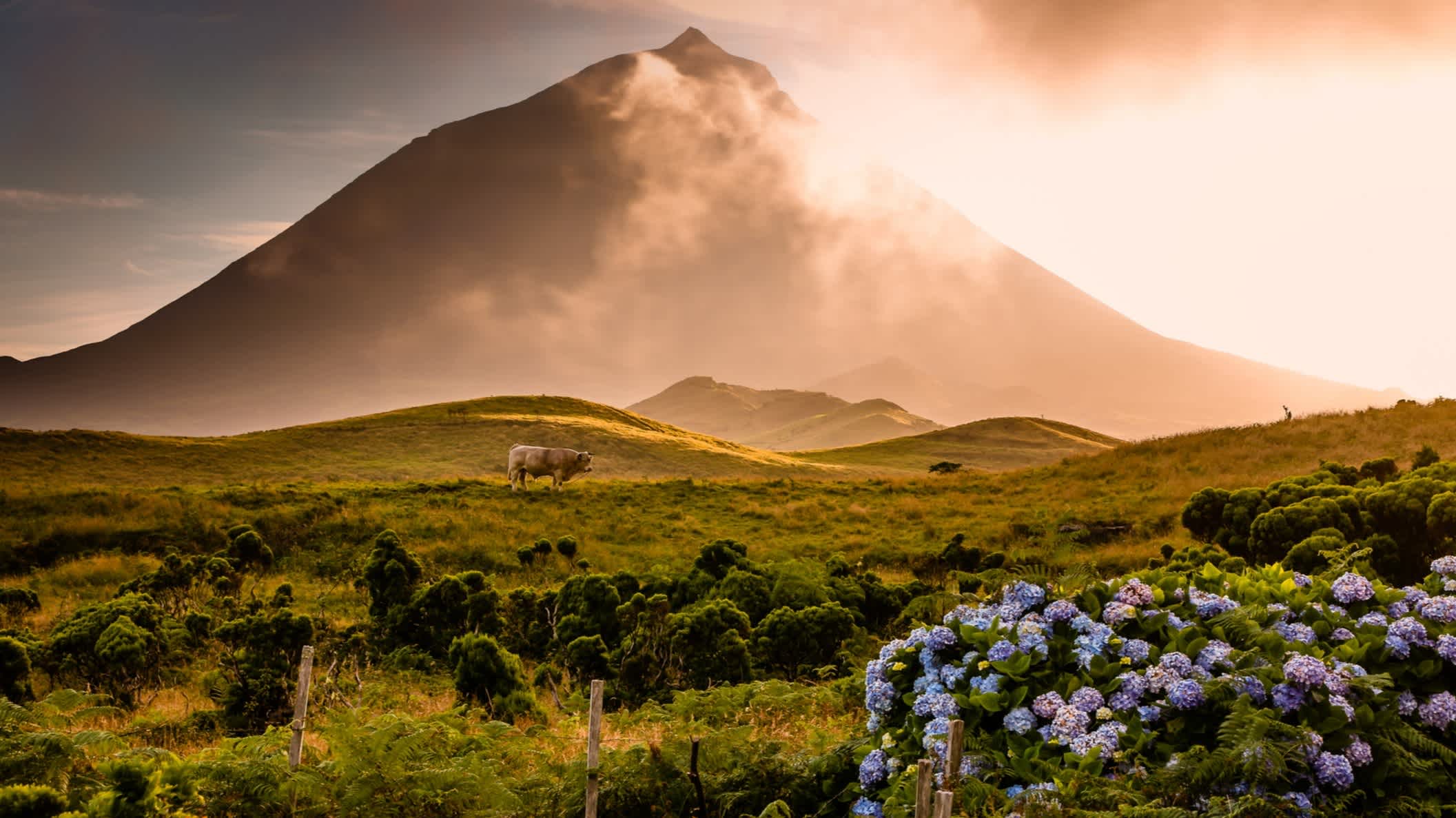 Volcan de Pico aux Açores avec brouillard