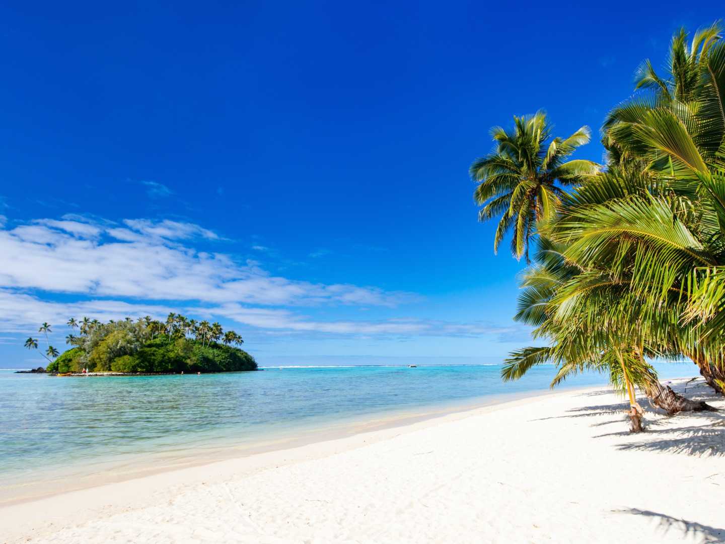 Go on a Cook Islands vacation to see palm trees on white sands of Rarotonga Muri Beach Lagune.
