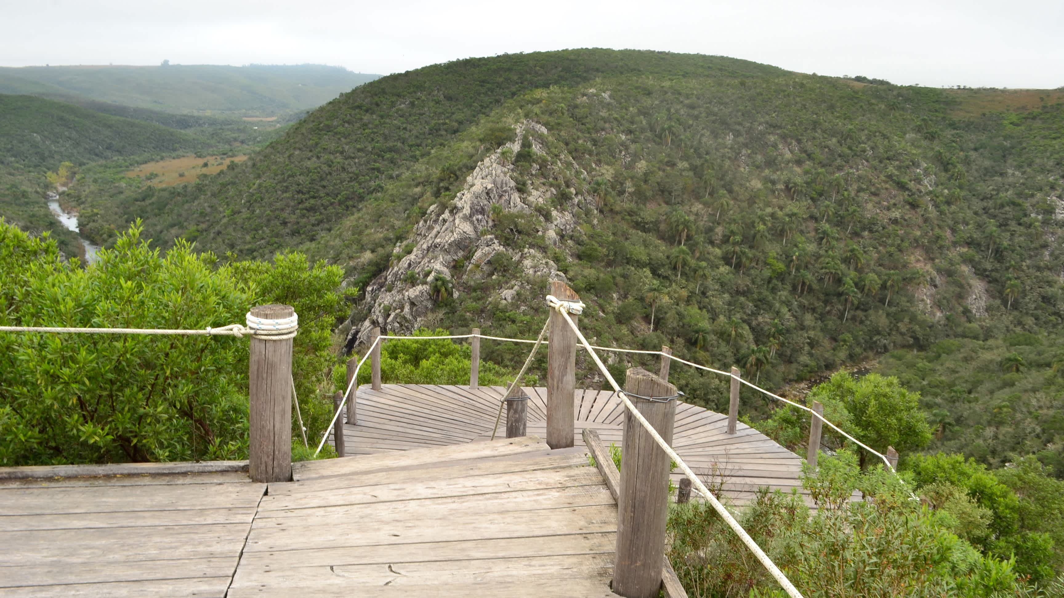 Escalier en bois entouré de v�égétation dans la Vallée de la Quebrada de los Cuervos, Uruguay