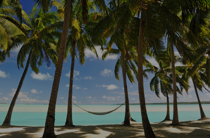 Blick auf Hängematte zwischen Palmen auf dem Inselparadies Mauritius