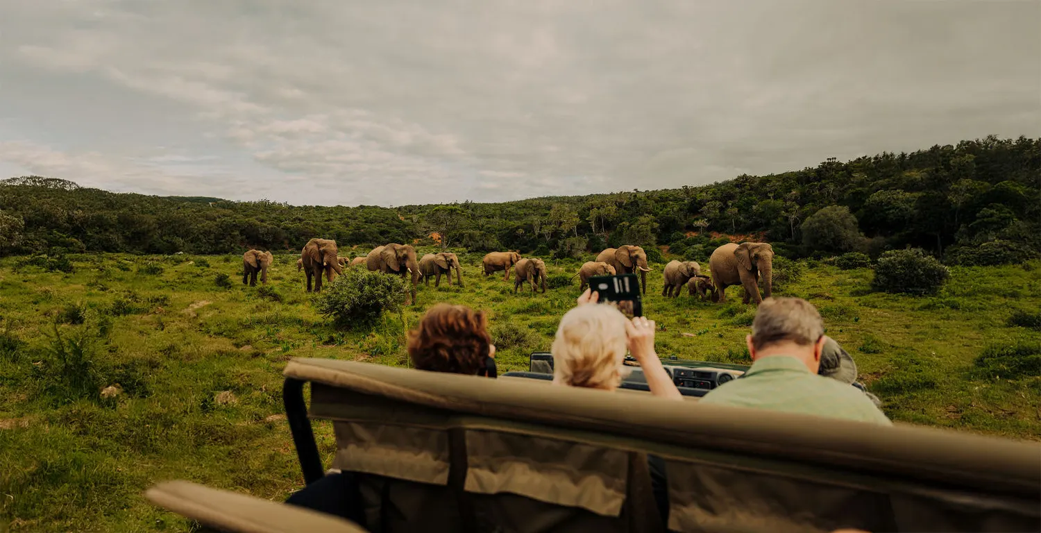 Freunde Werben Programm Tourlane-Freunde-werben Program