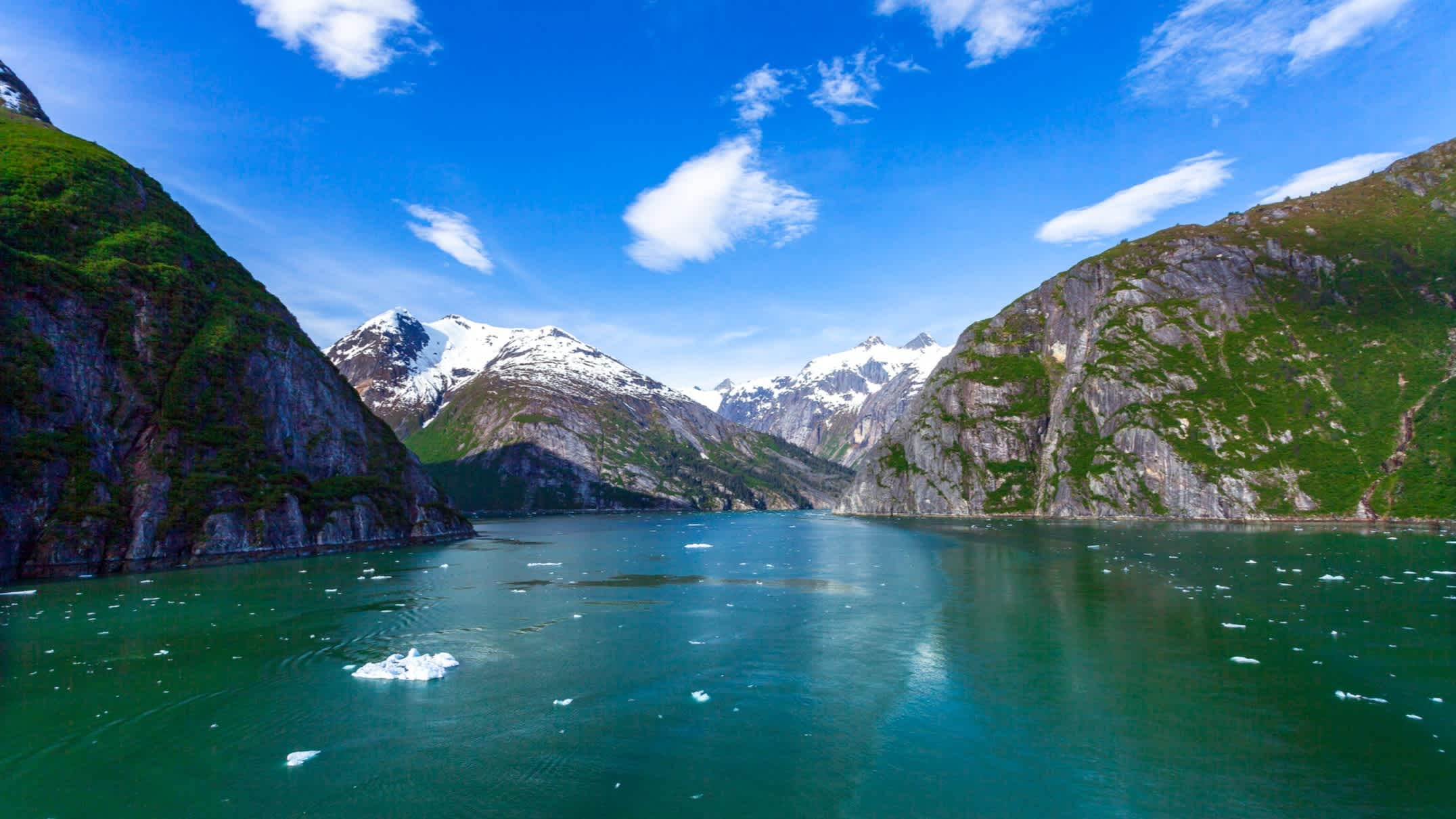 Blick auf den Tracy Arm Fjord in Alaska, USA
