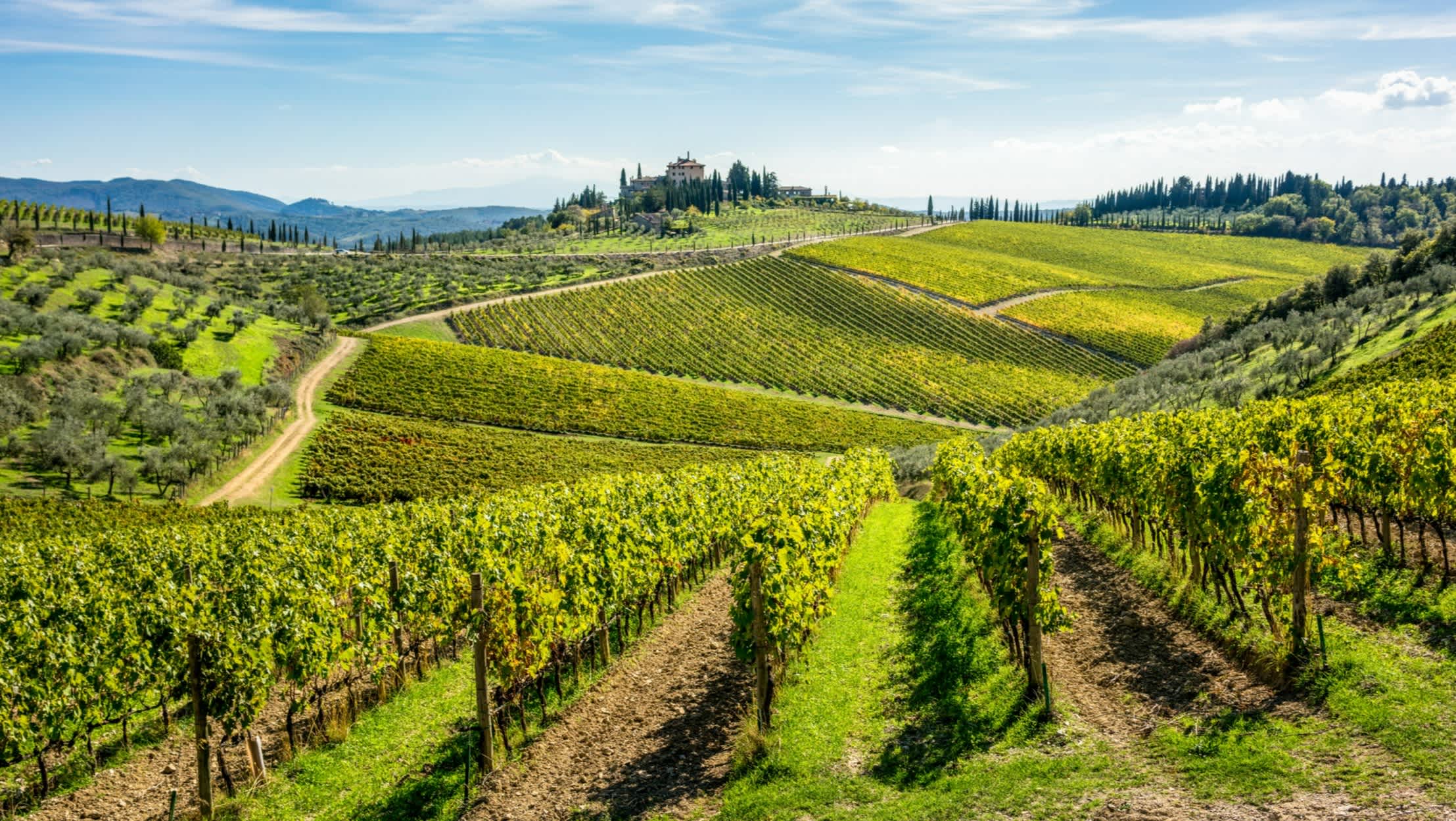 Collines vertes du vignoble dans la région du Chianti, Toscane, Italie