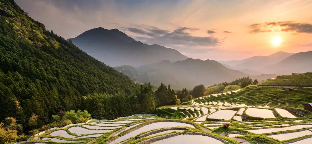 Reisfelder bei Sonnenuntergang mit Bergen im Hintergrund, Maruyama, Mie, Japan.