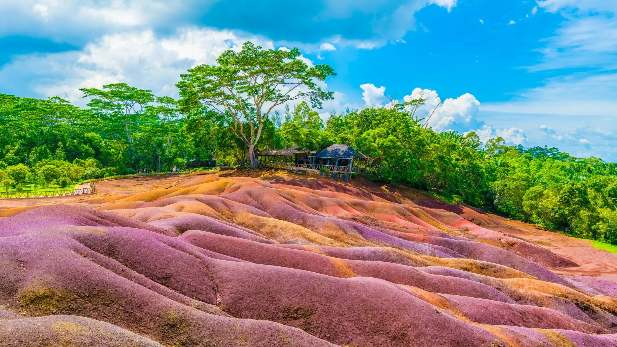 7 farbige Erde, Chamarel, Mauritius, Afrika Bunte Erde mit Wald im Hintergrund