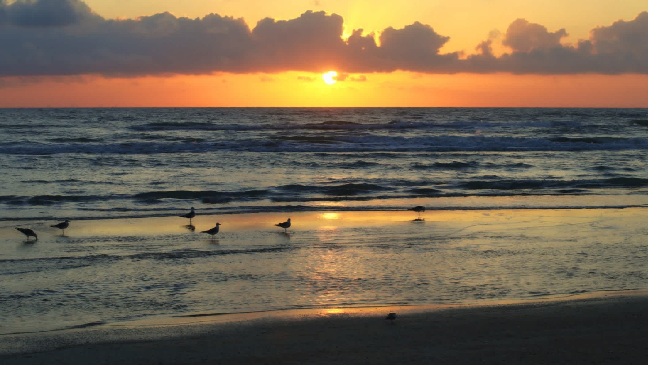  Der Strand Jamaica Beach, Galveston County, Texas, USA bei Sonnenuntergang mit Blick auf einige Vögel im Wasser.