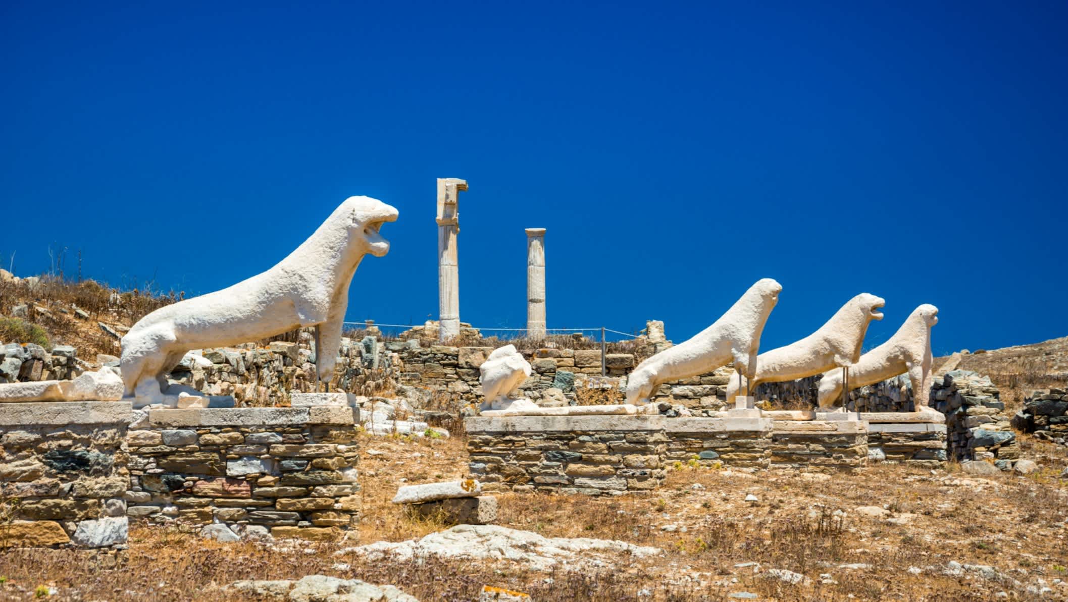 Statues d'animaux sur les ruines anciennes, île de Délos, dans les Cyclades, en Grèce.